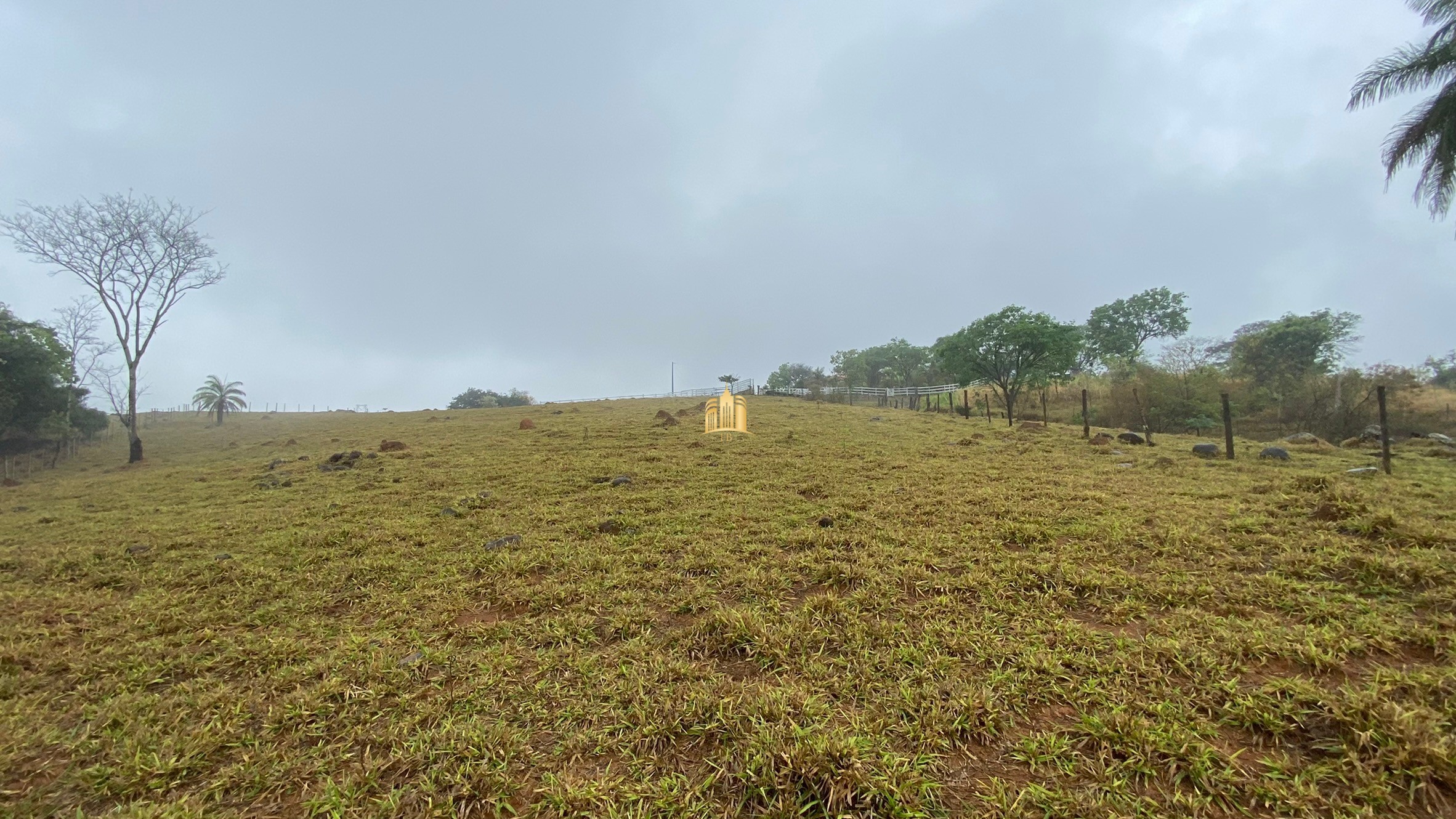 Fazenda à venda com 3 quartos, 800000m² - Foto 110