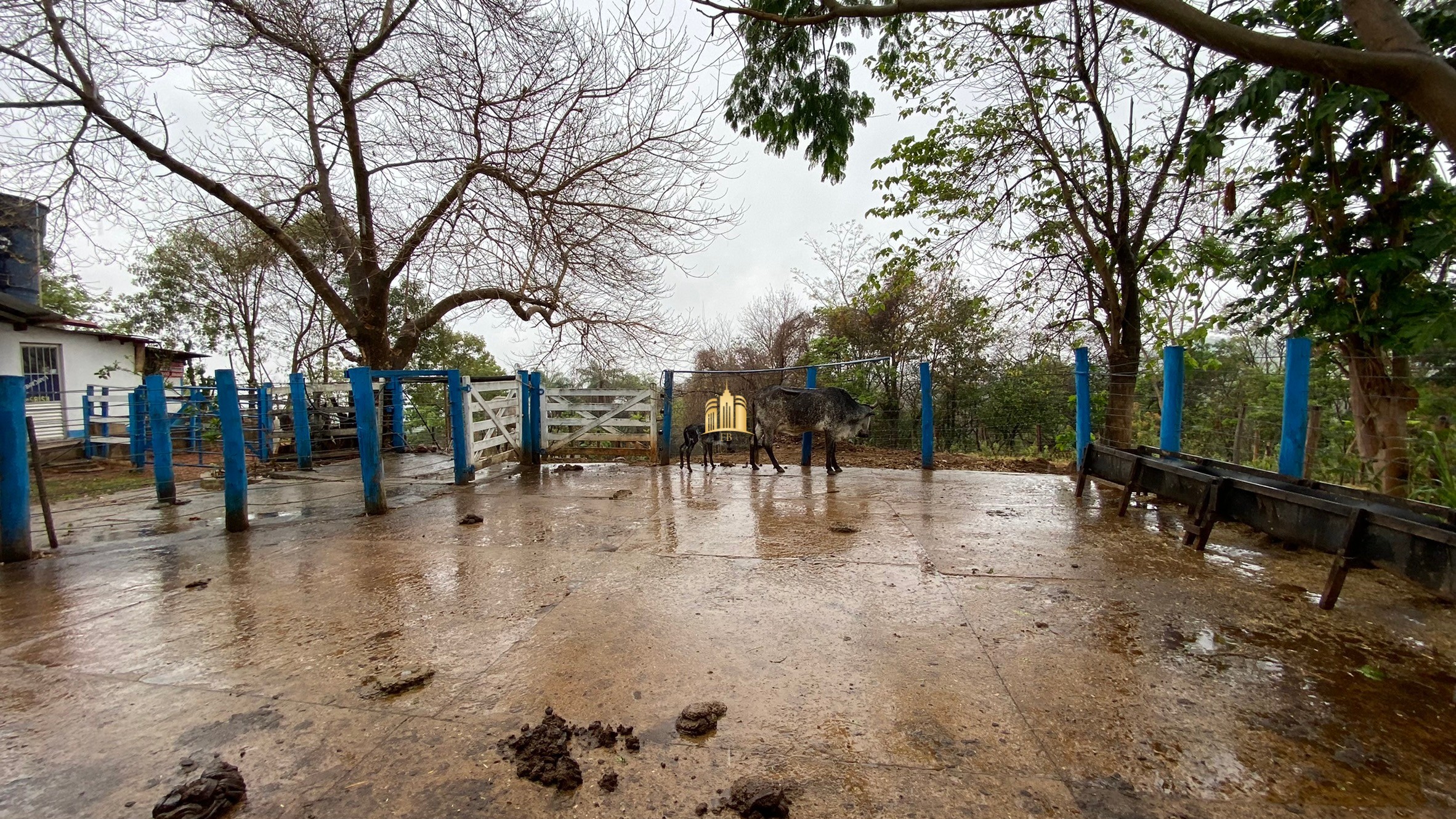 Fazenda à venda com 3 quartos, 800000m² - Foto 90