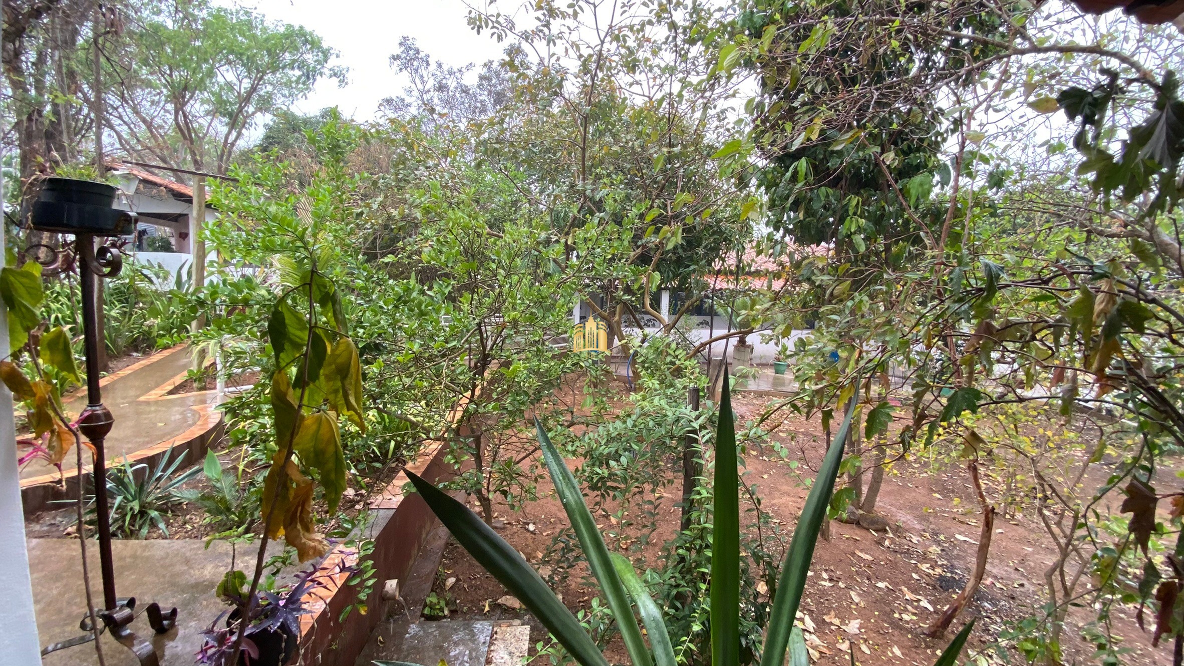 Fazenda à venda com 3 quartos, 800000m² - Foto 100