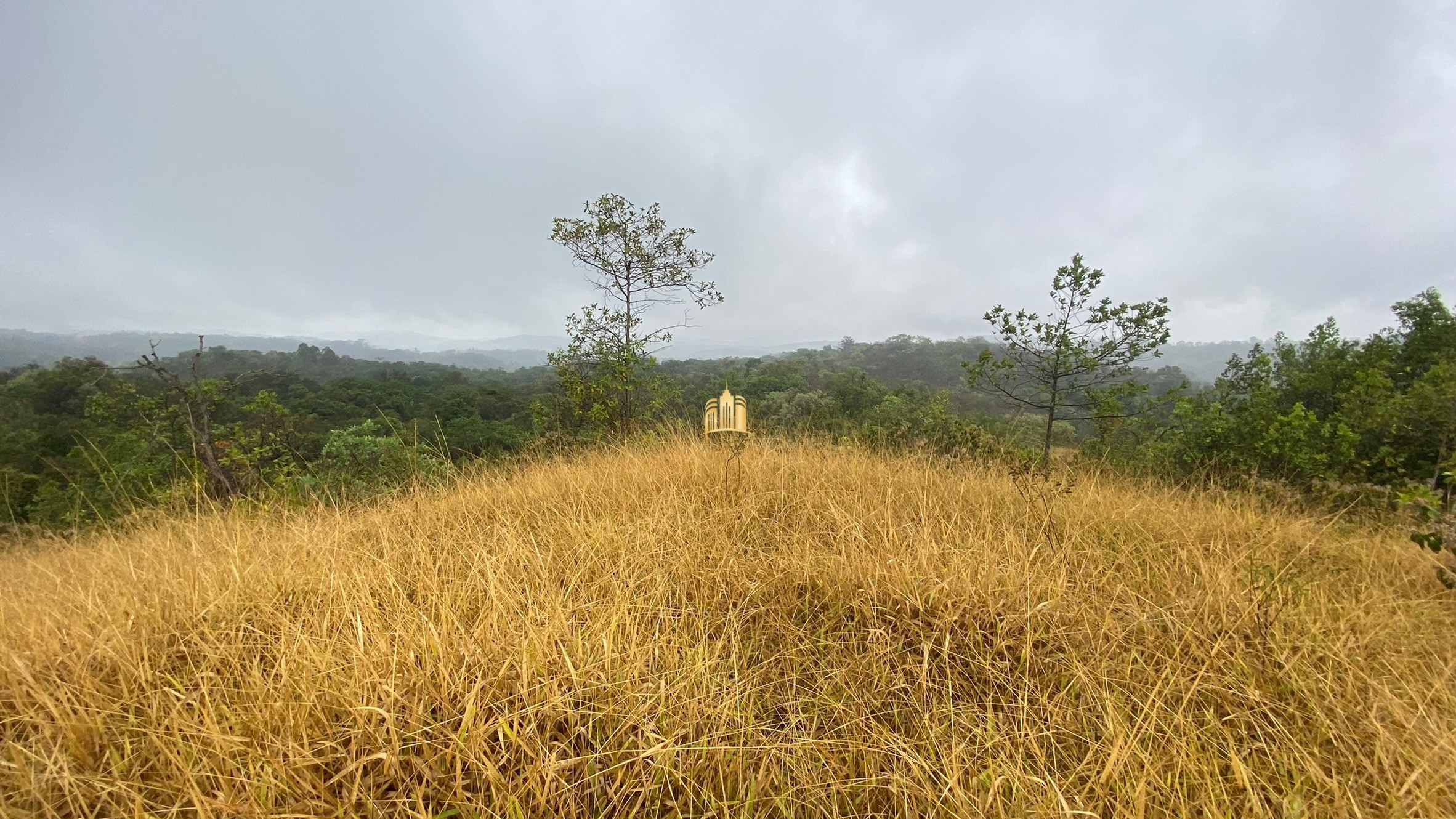 Fazenda à venda com 3 quartos, 800000m² - Foto 33