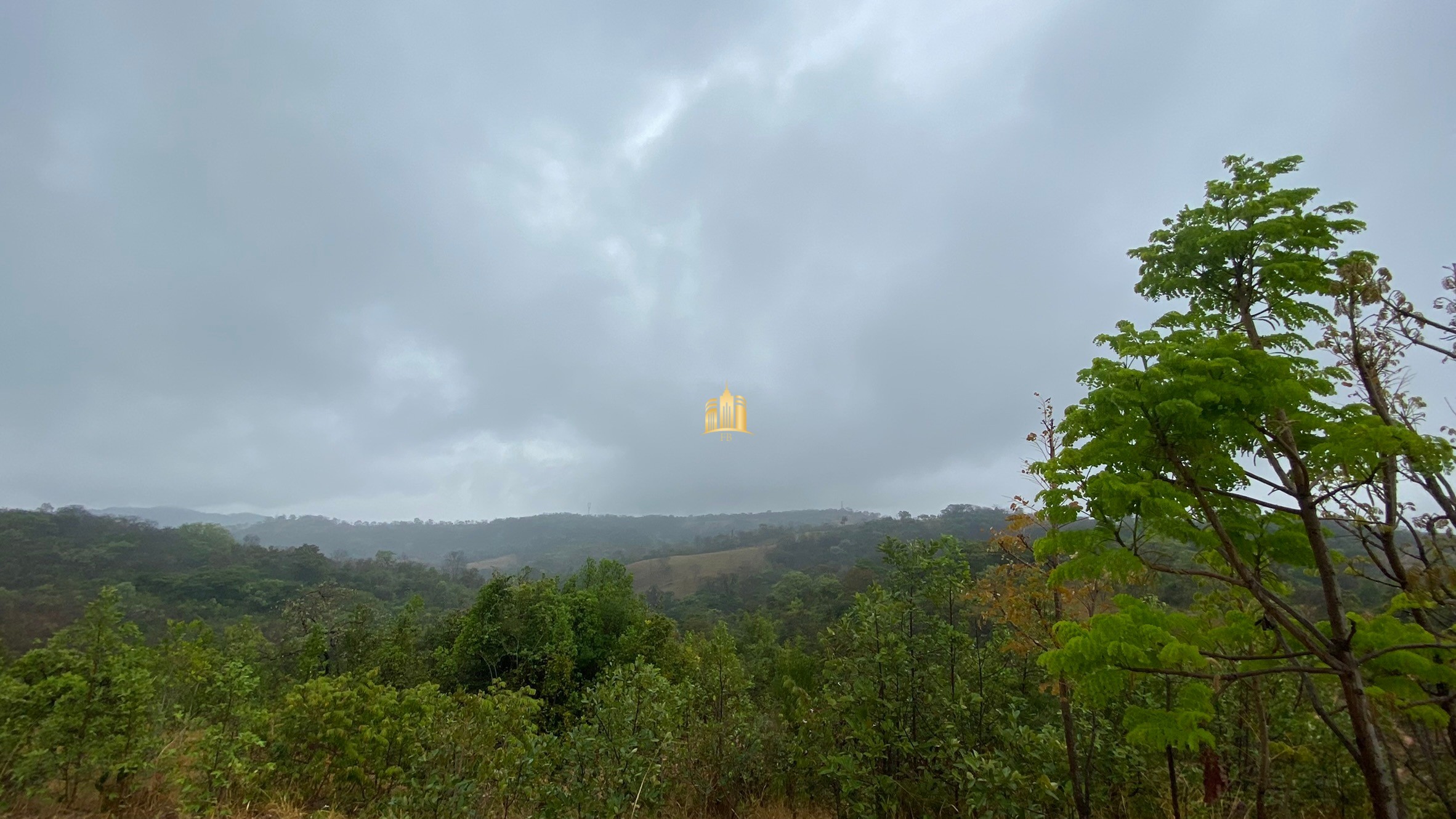 Fazenda à venda com 3 quartos, 800000m² - Foto 77