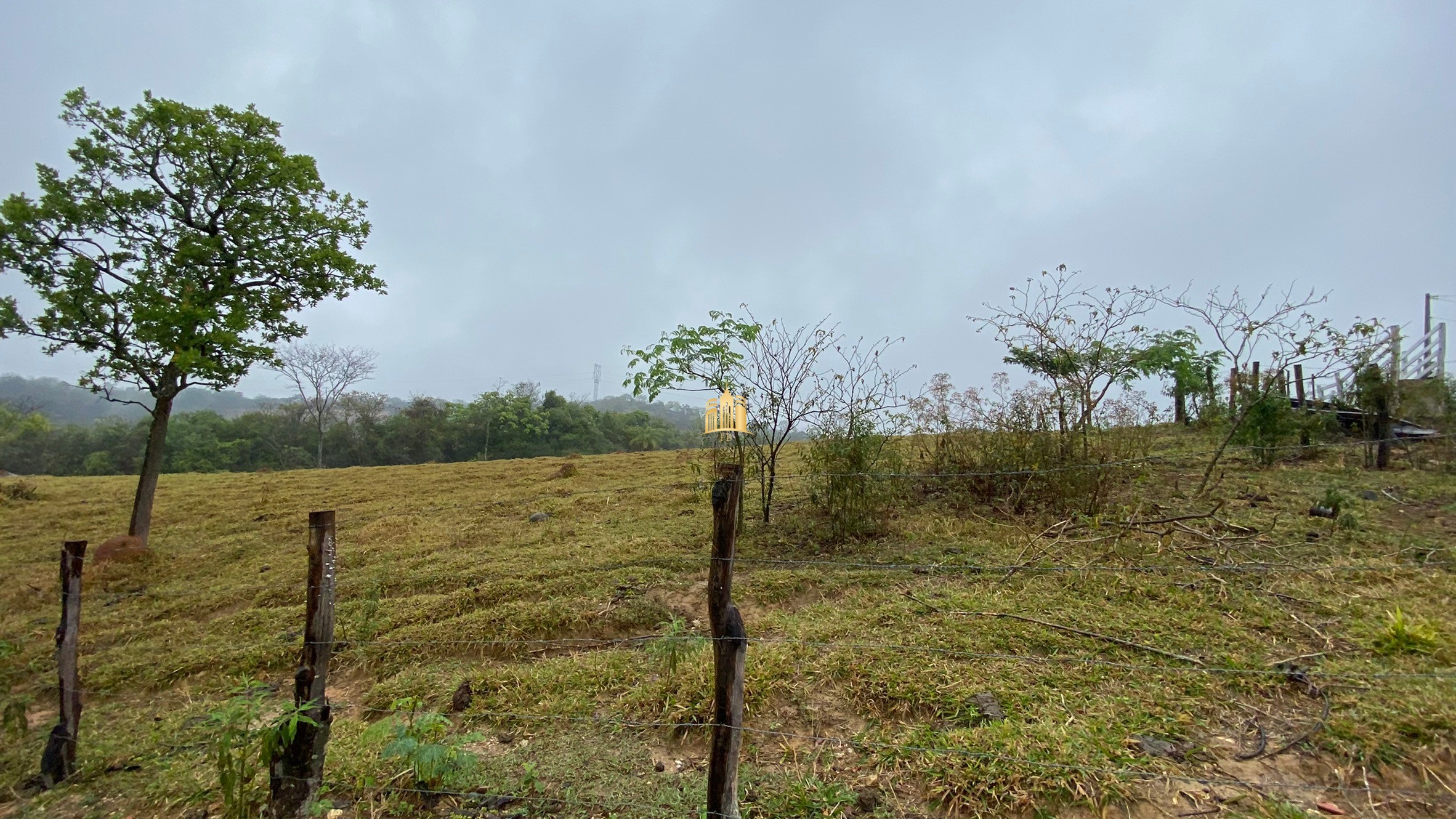 Fazenda à venda com 3 quartos, 800000m² - Foto 17