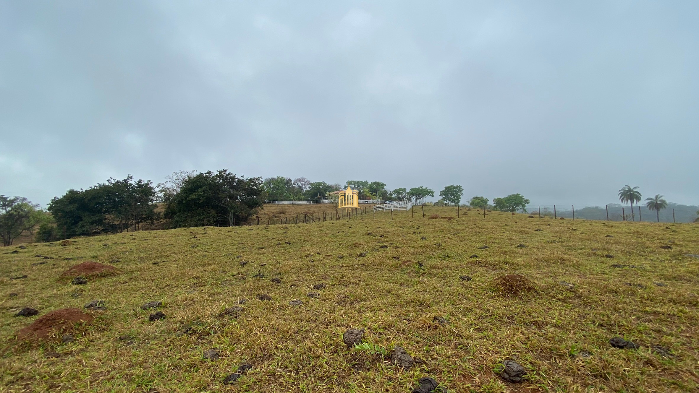 Fazenda à venda com 3 quartos, 800000m² - Foto 93