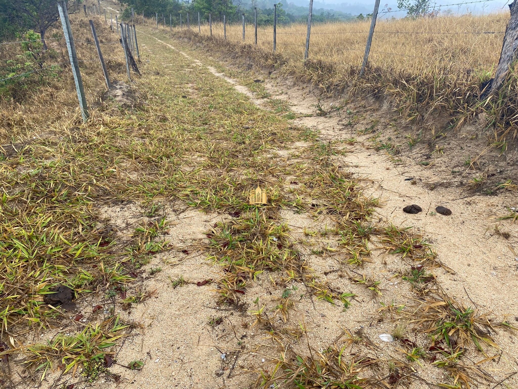 Fazenda à venda com 3 quartos, 800000m² - Foto 132