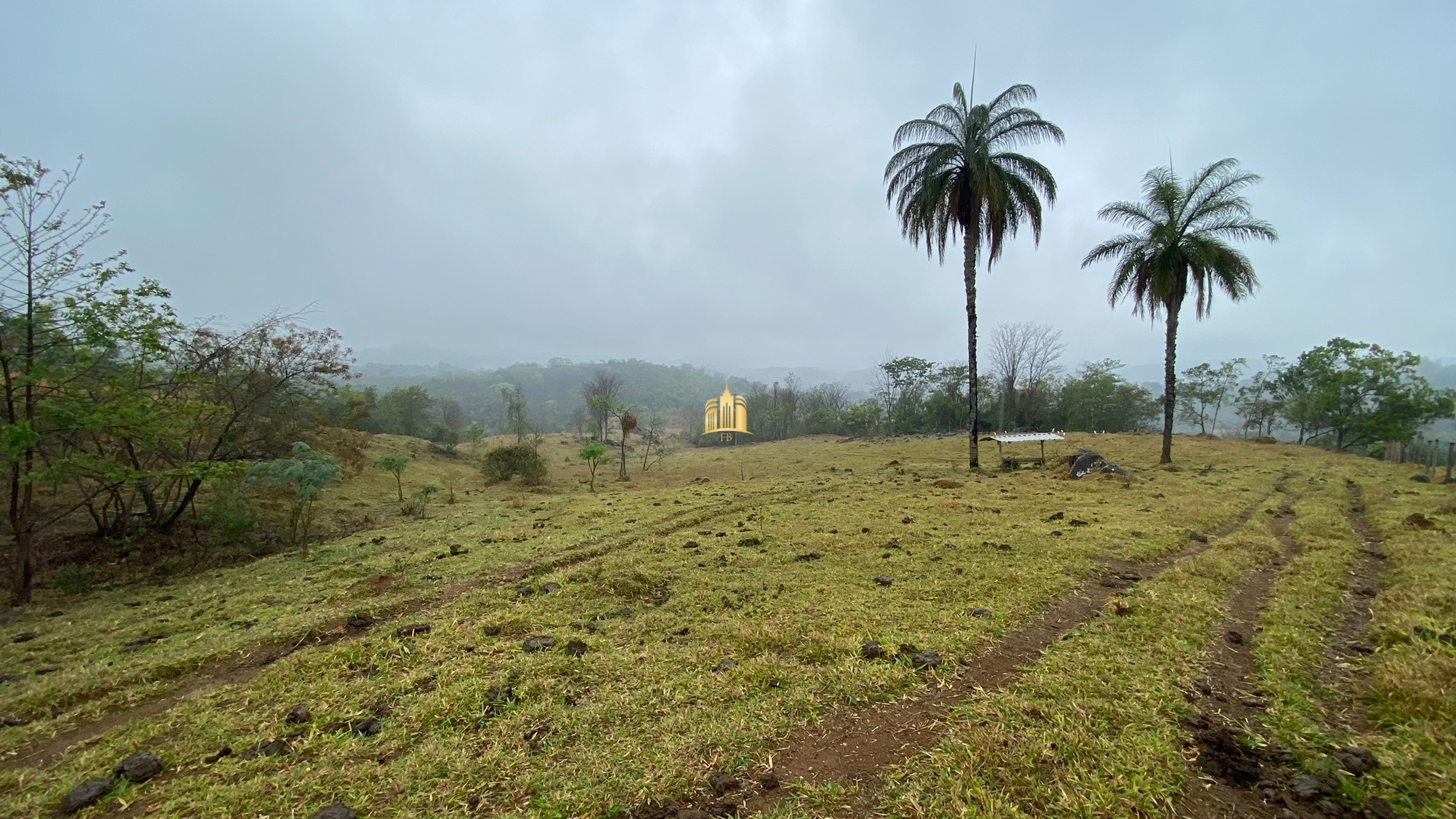 Fazenda à venda com 3 quartos, 800000m² - Foto 58