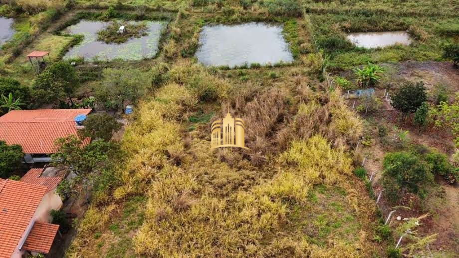 Terreno à venda, 2500m² - Foto 3