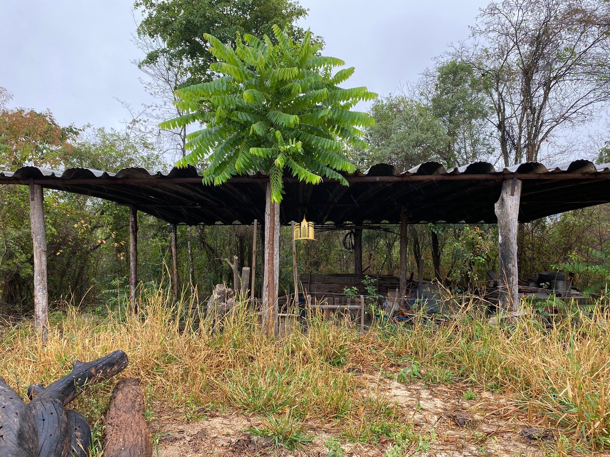 Fazenda à venda com 3 quartos, 800000m² - Foto 130