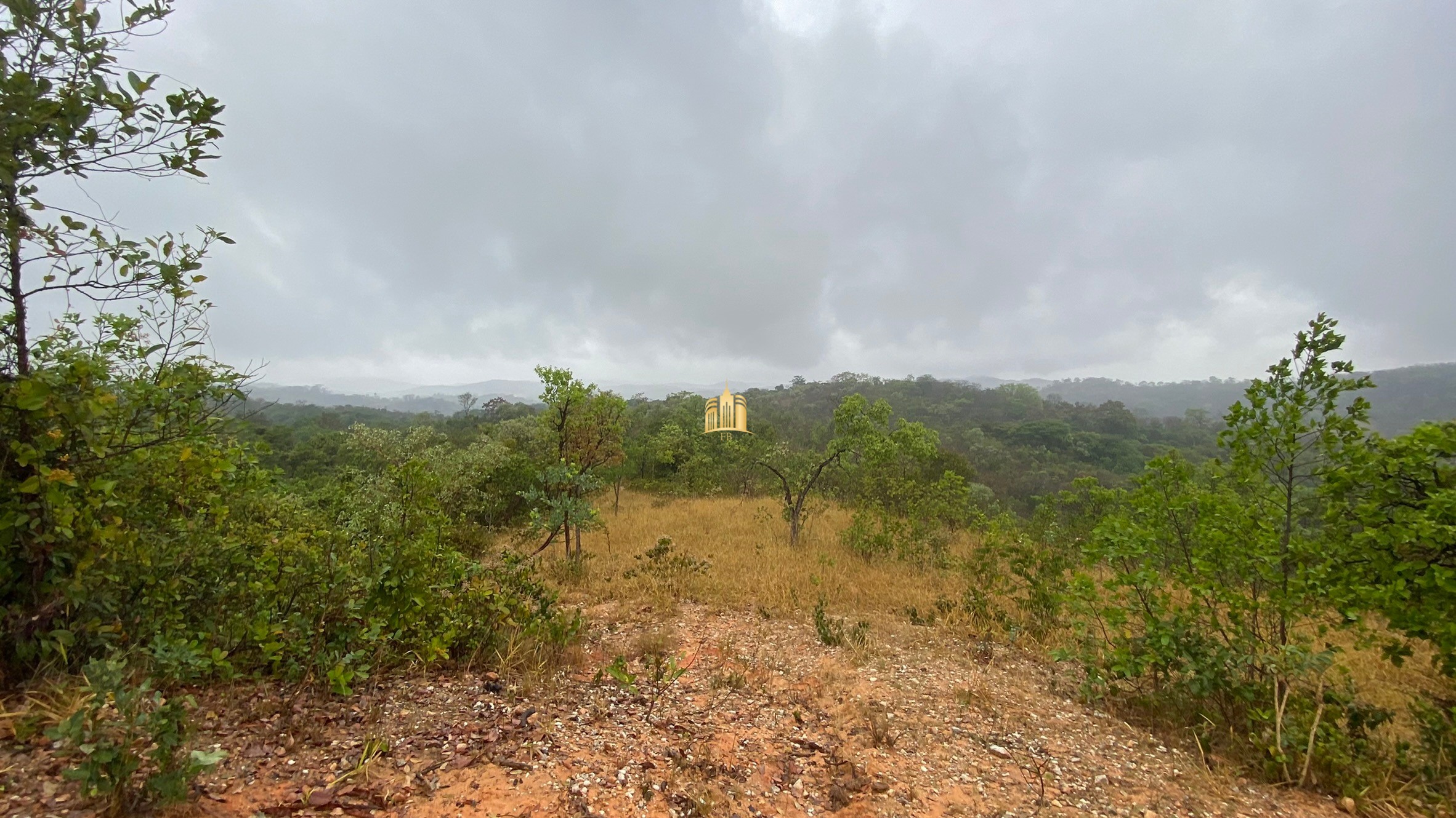 Fazenda à venda com 3 quartos, 800000m² - Foto 46