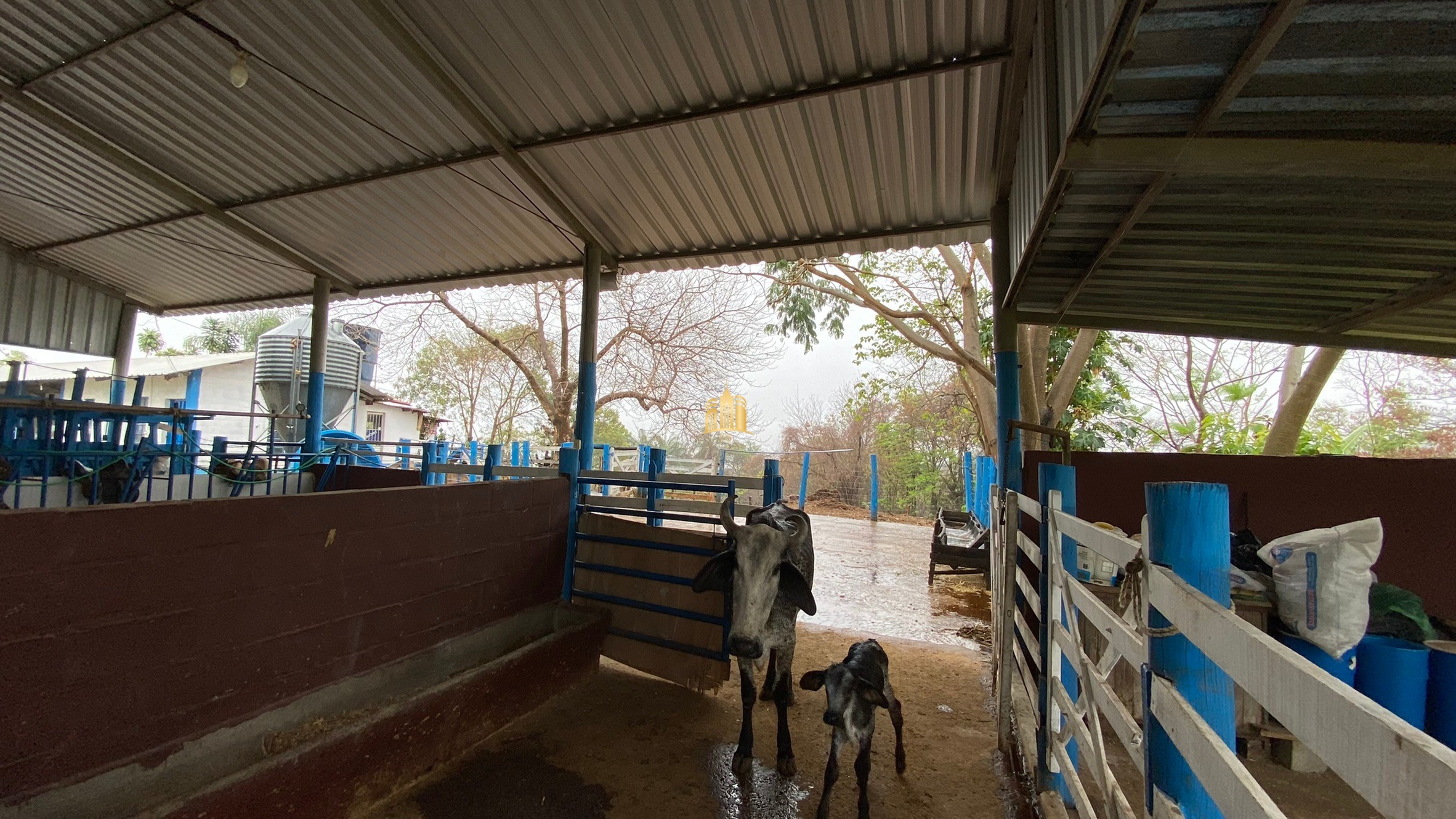 Fazenda à venda com 3 quartos, 800000m² - Foto 9