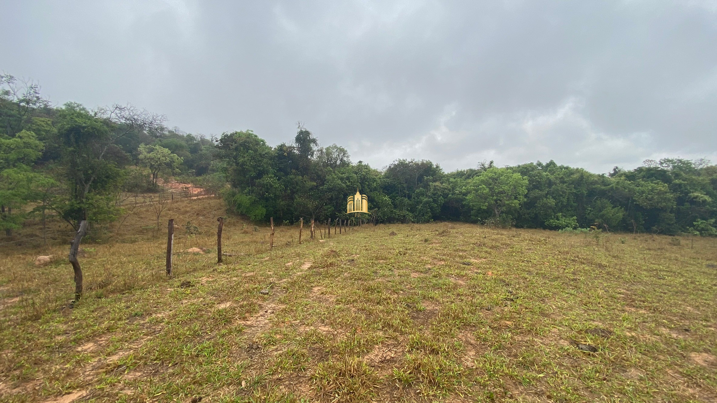 Fazenda à venda com 3 quartos, 800000m² - Foto 65