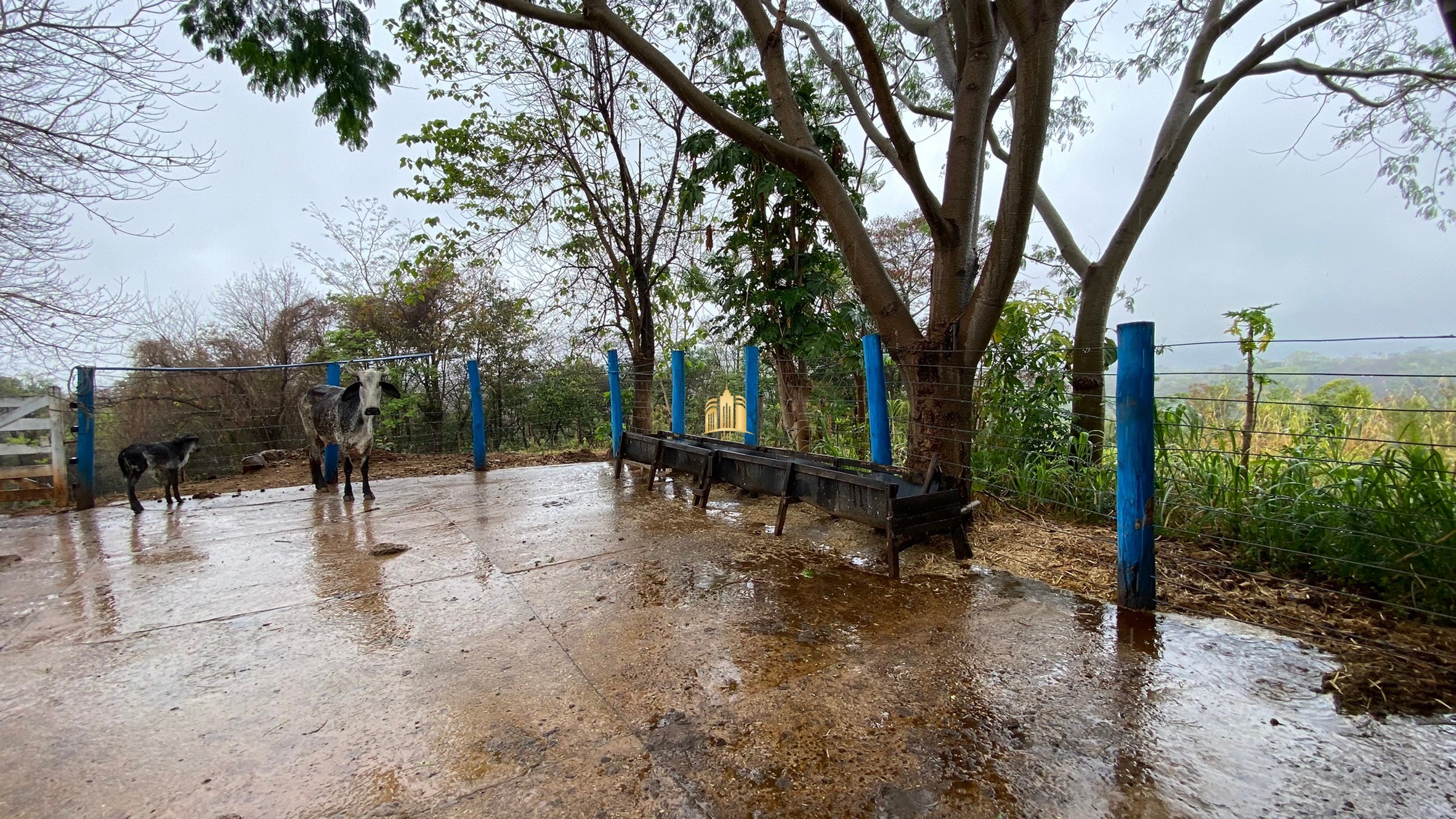 Fazenda à venda com 3 quartos, 800000m² - Foto 6