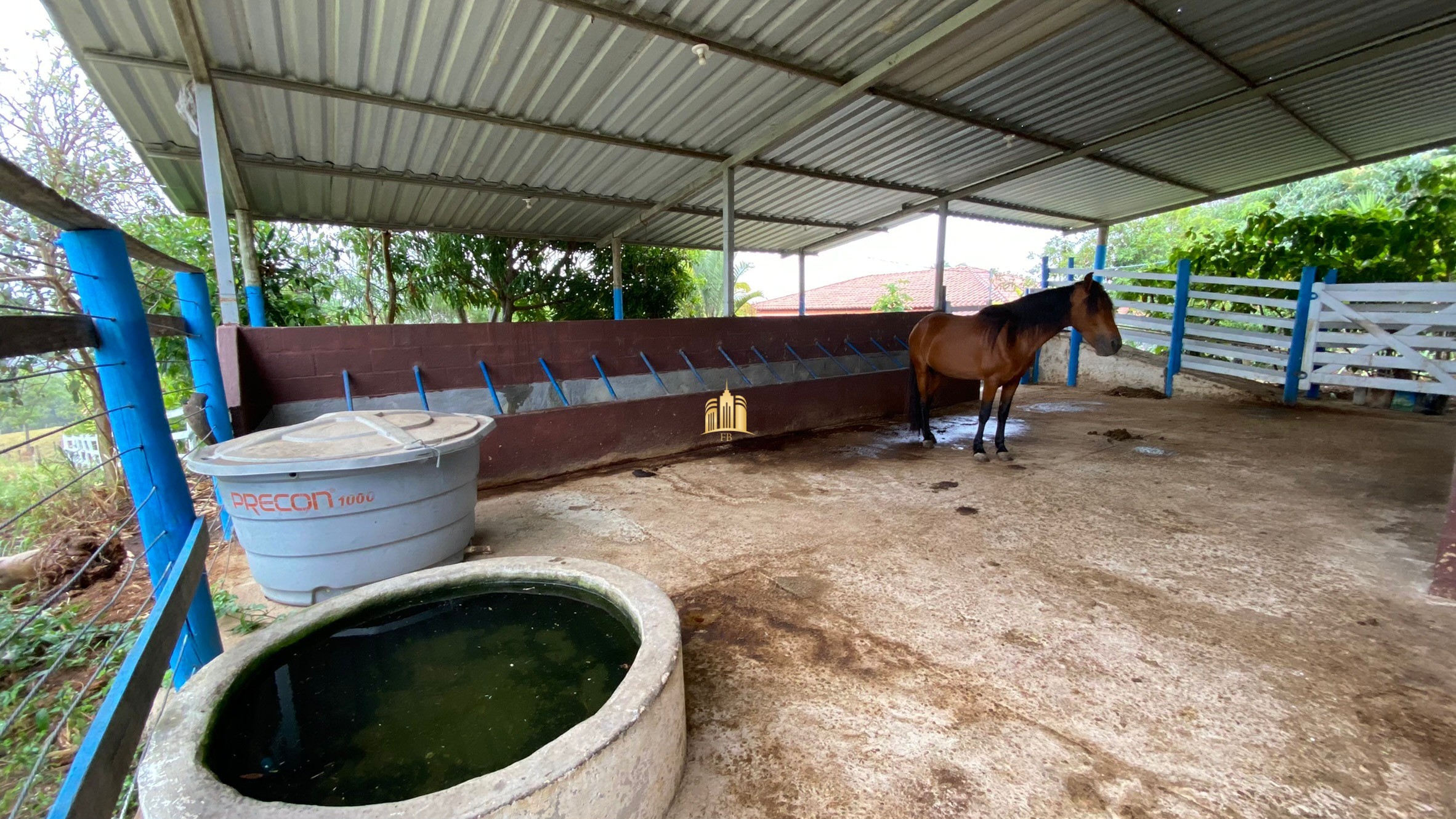 Fazenda à venda com 3 quartos, 800000m² - Foto 41