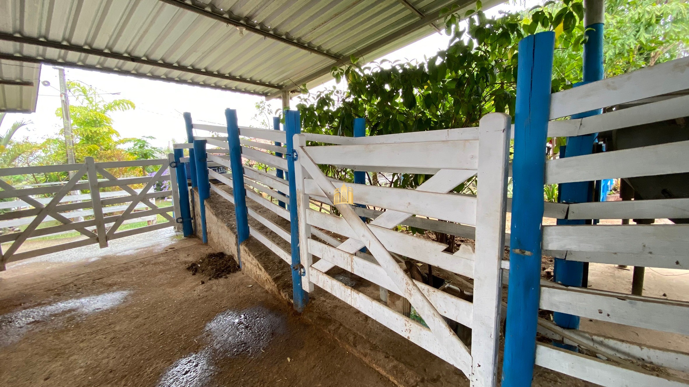 Fazenda à venda com 3 quartos, 800000m² - Foto 14