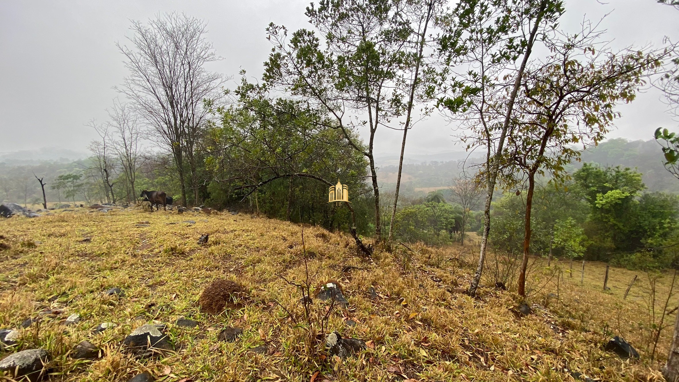 Fazenda à venda com 3 quartos, 800000m² - Foto 91