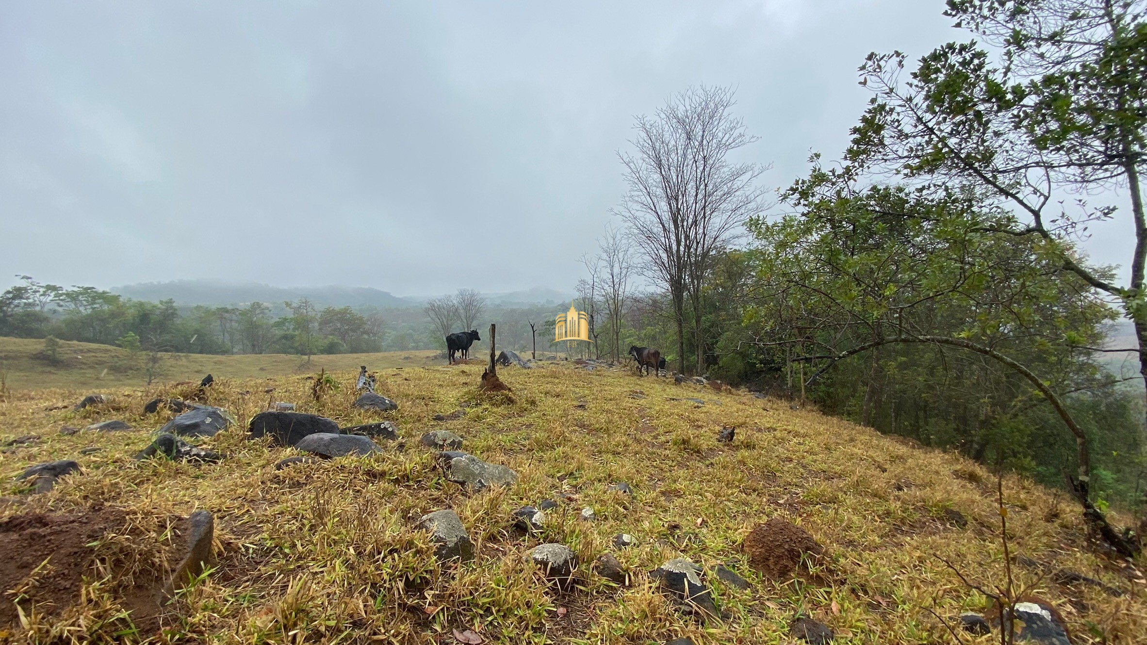 Fazenda à venda com 3 quartos, 800000m² - Foto 47