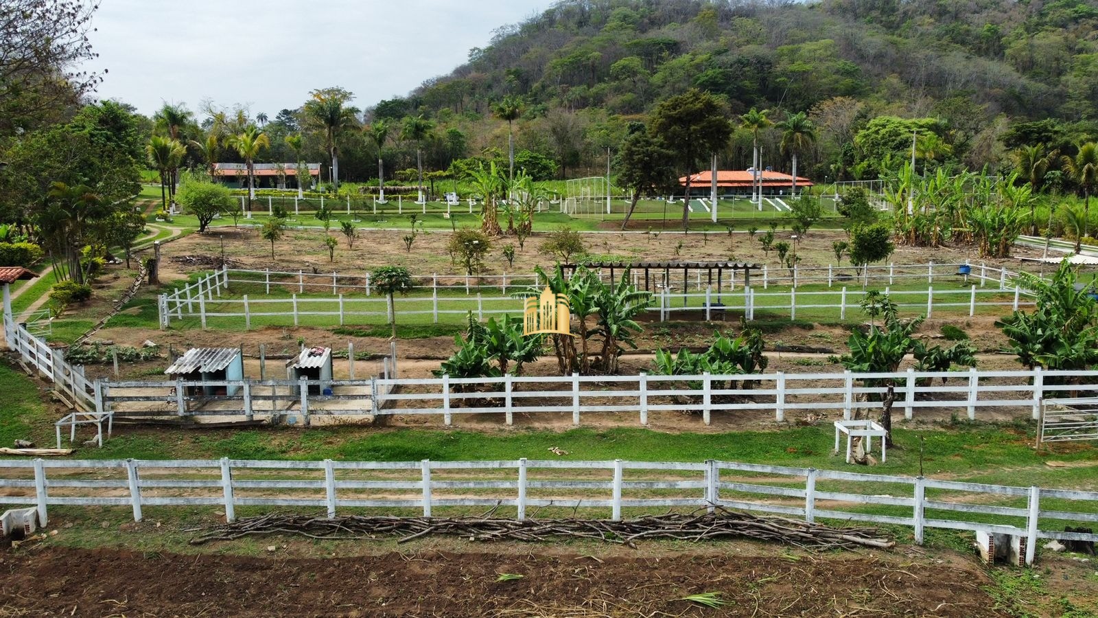 Fazenda à venda com 8 quartos, 293000m² - Foto 33