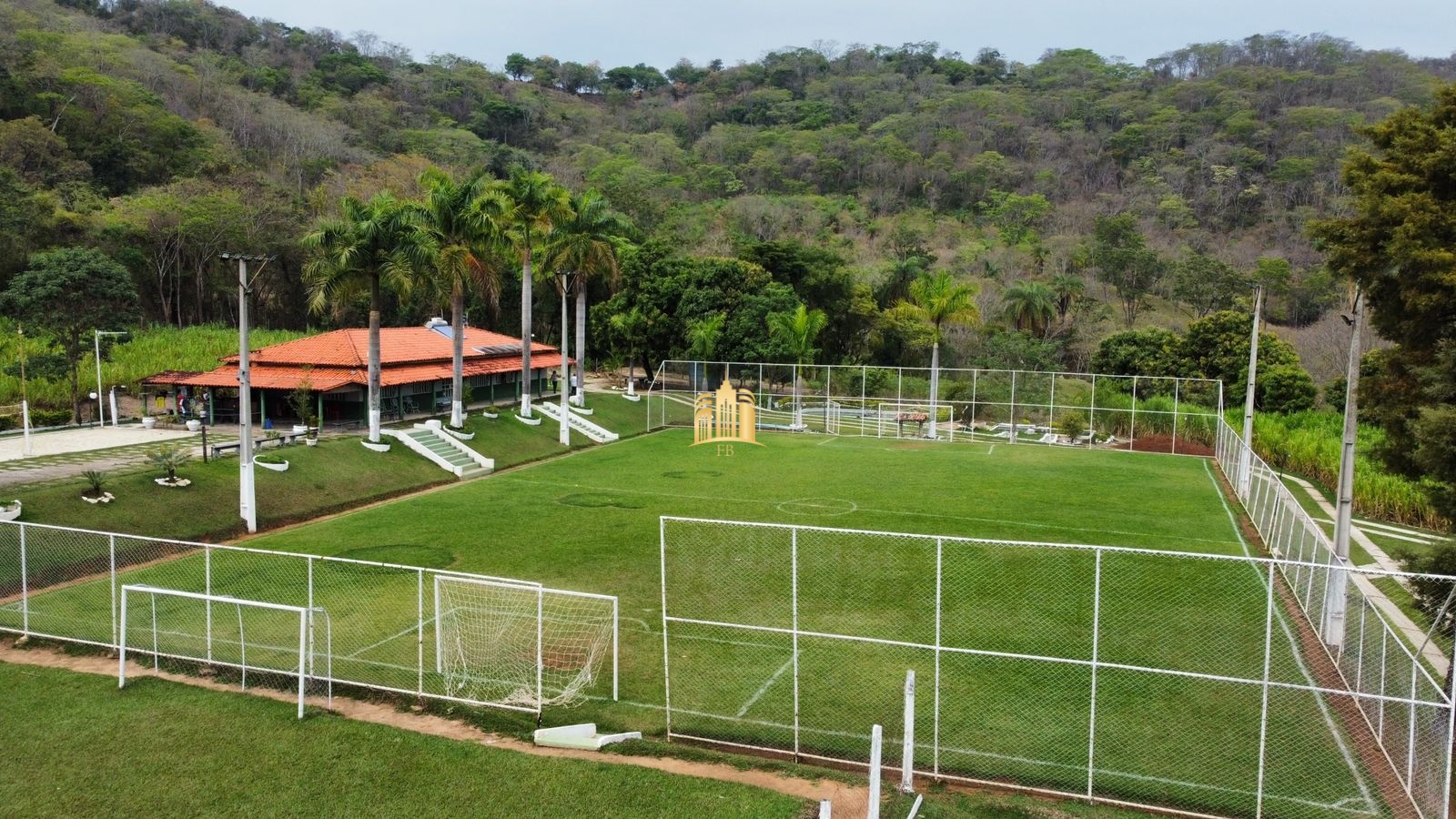 Fazenda à venda com 8 quartos, 293000m² - Foto 5