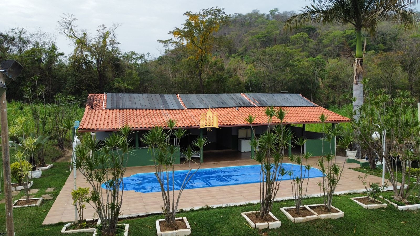 Fazenda à venda com 8 quartos, 293000m² - Foto 15