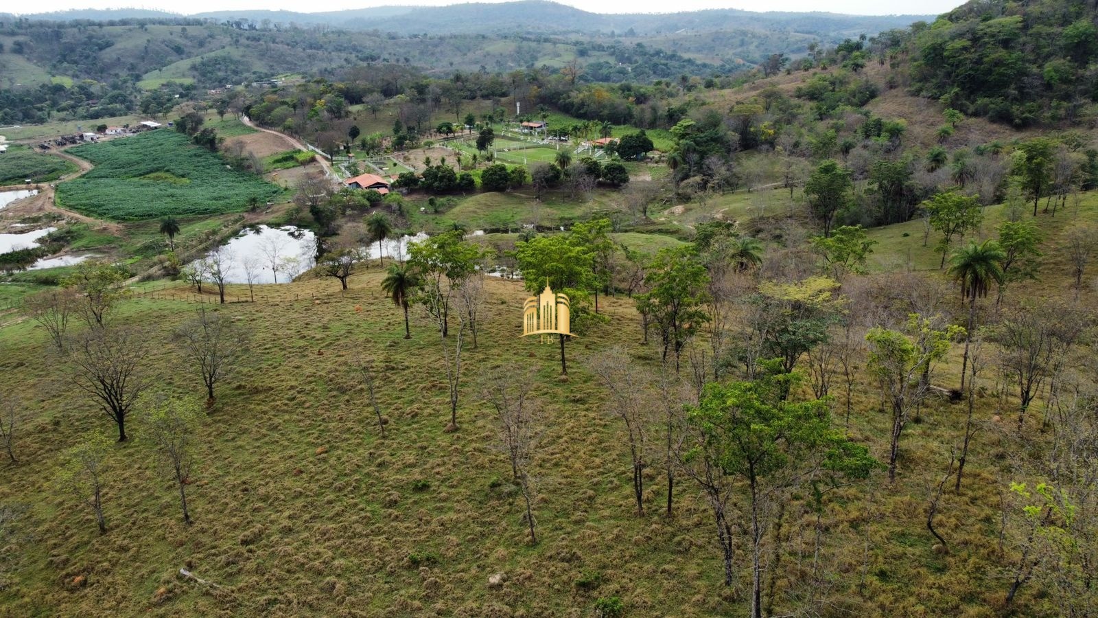 Fazenda à venda com 8 quartos, 293000m² - Foto 19