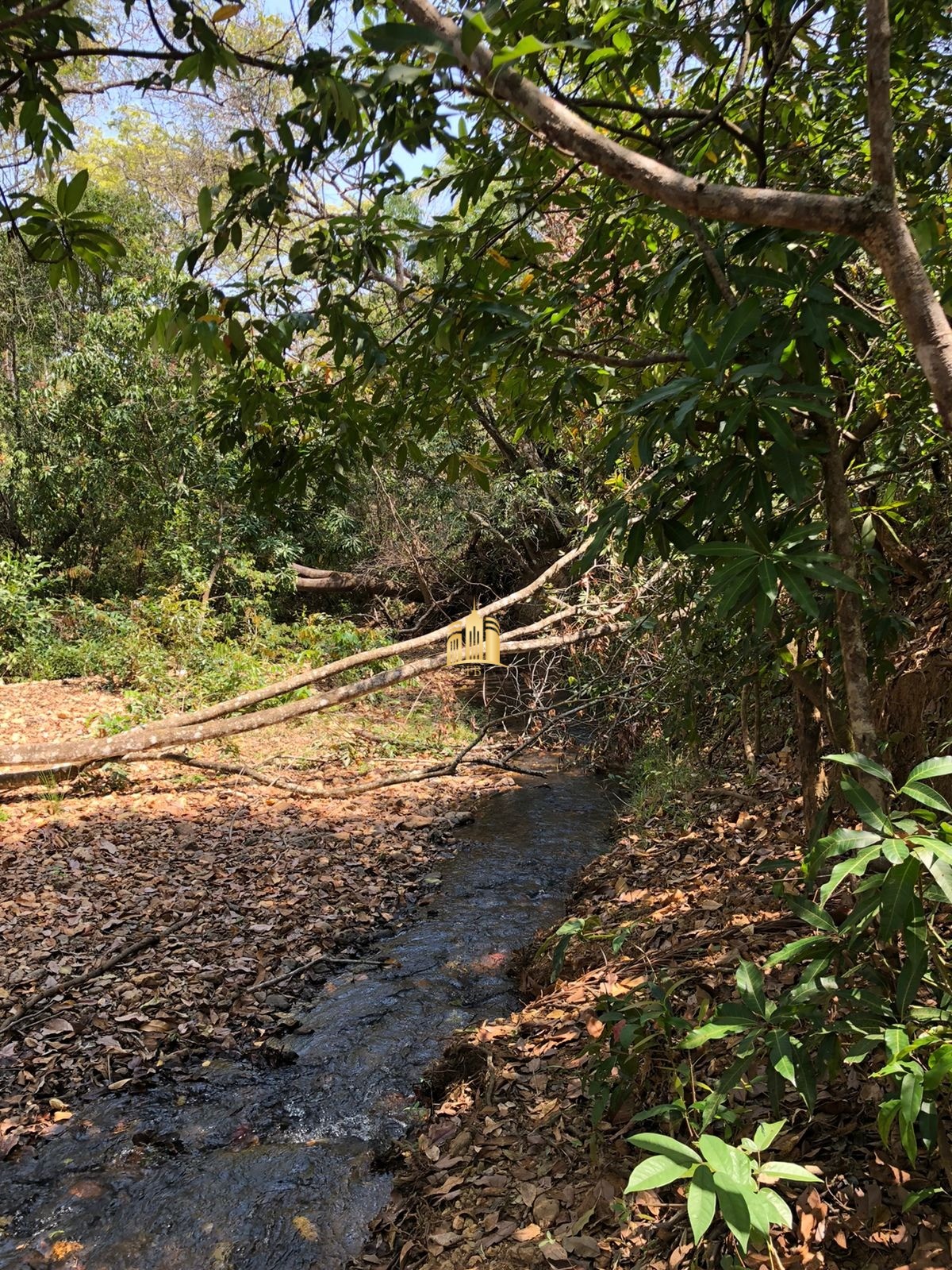 Terreno à venda, 40000m² - Foto 1