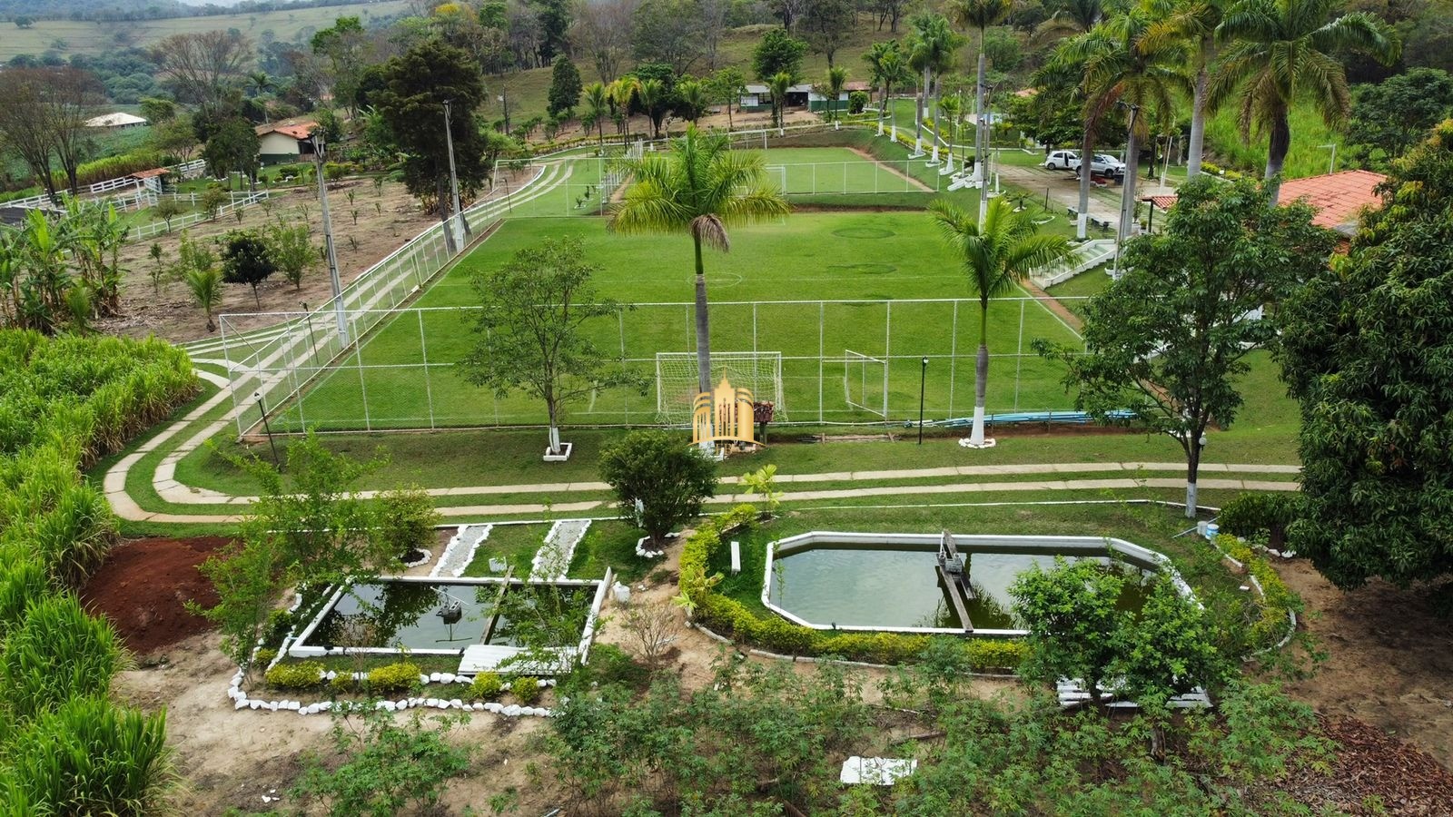 Fazenda à venda com 8 quartos, 293000m² - Foto 11