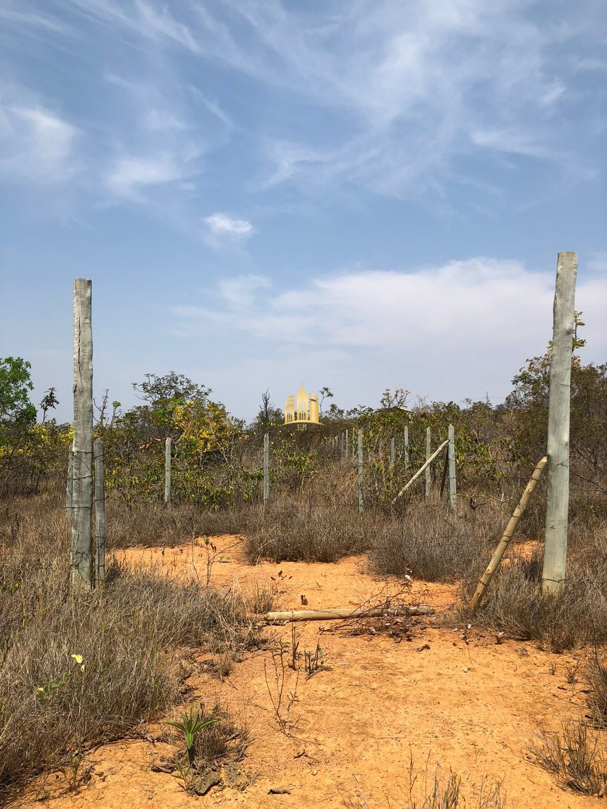 Terreno à venda, 40000m² - Foto 4