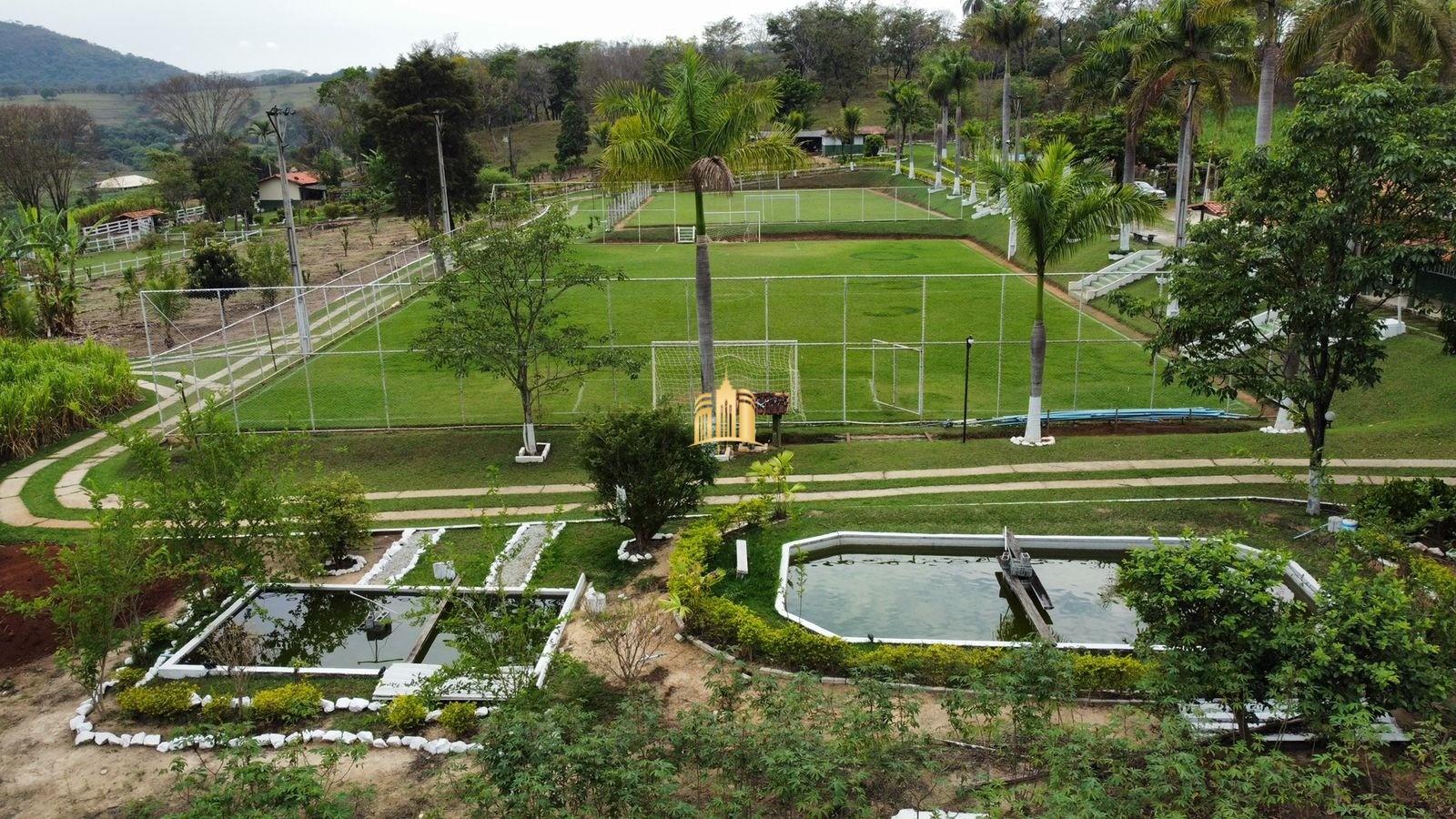 Fazenda à venda com 8 quartos, 293000m² - Foto 12