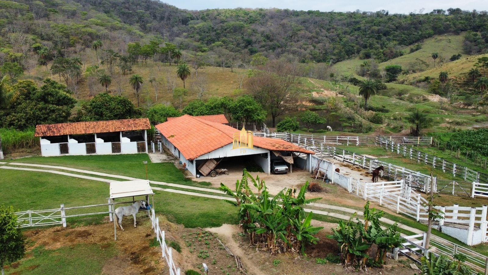 Fazenda à venda com 8 quartos, 293000m² - Foto 4