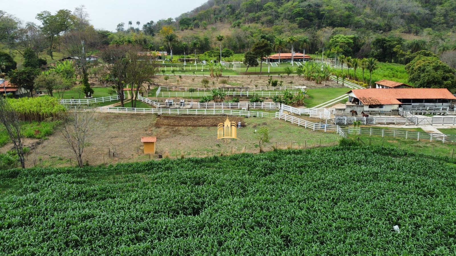 Fazenda à venda com 8 quartos, 293000m² - Foto 34