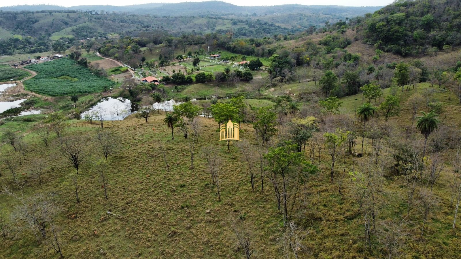 Fazenda à venda com 8 quartos, 293000m² - Foto 24