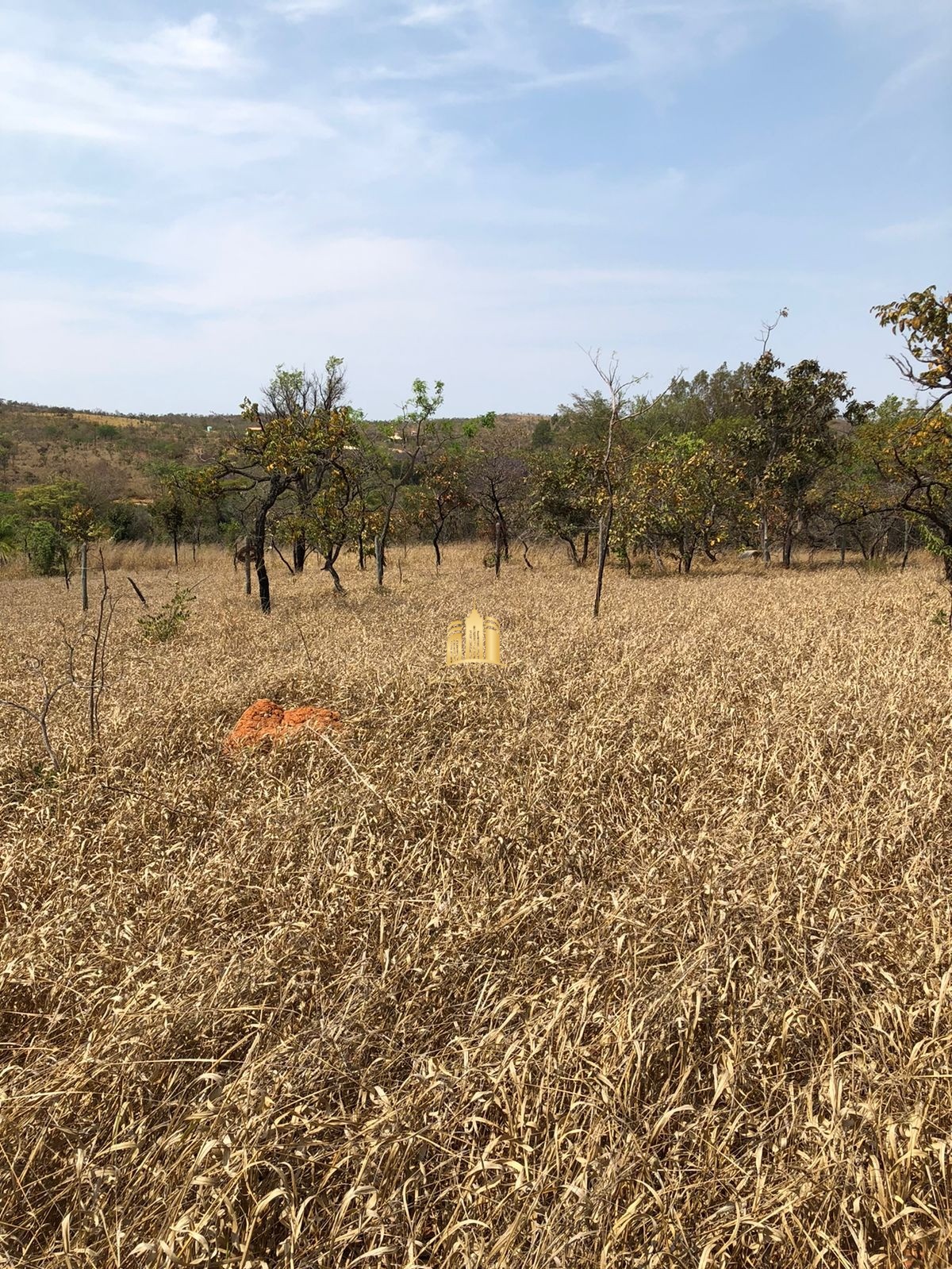 Terreno à venda, 40000m² - Foto 3