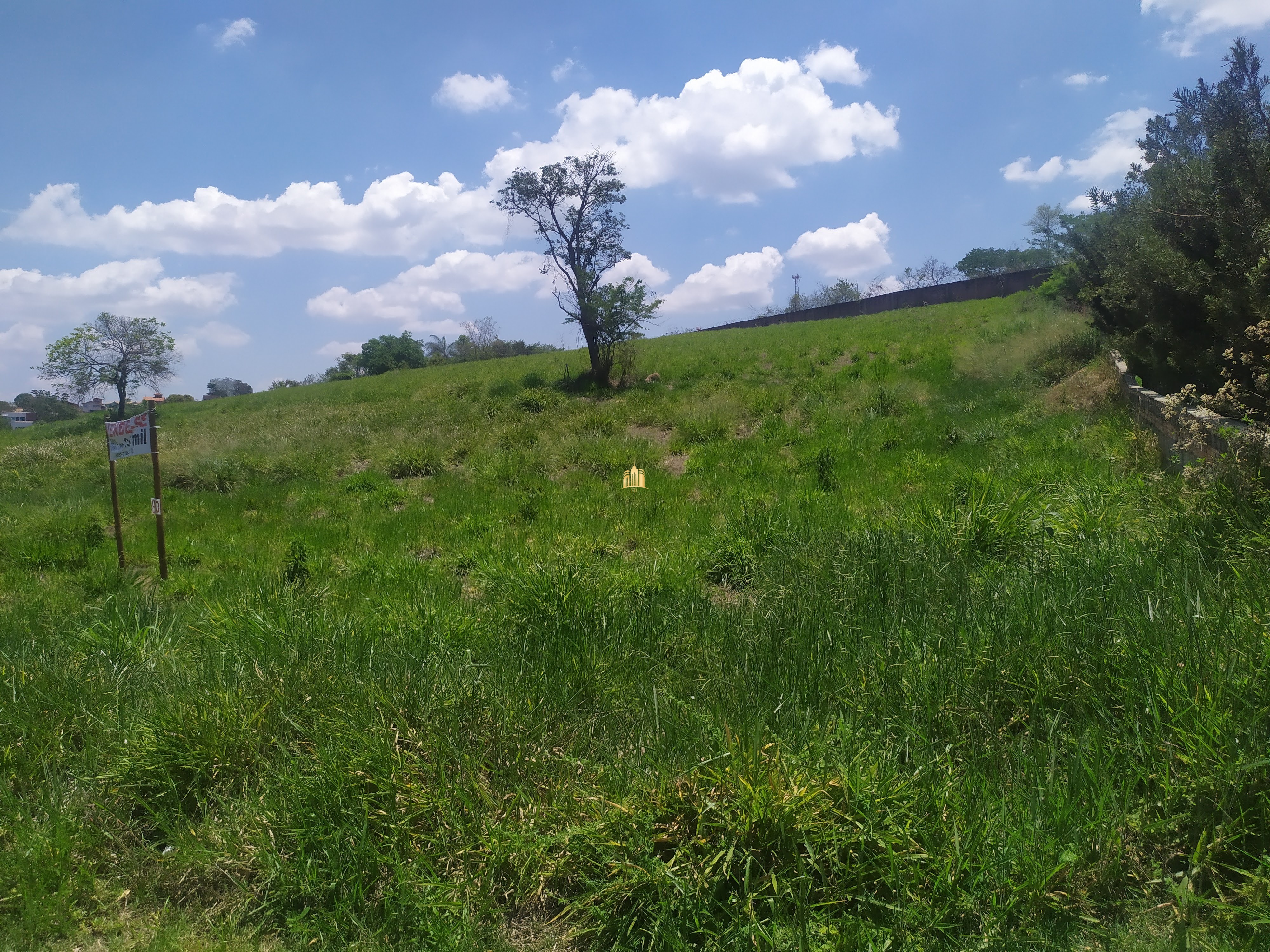 Terreno à venda, 2000m² - Foto 5