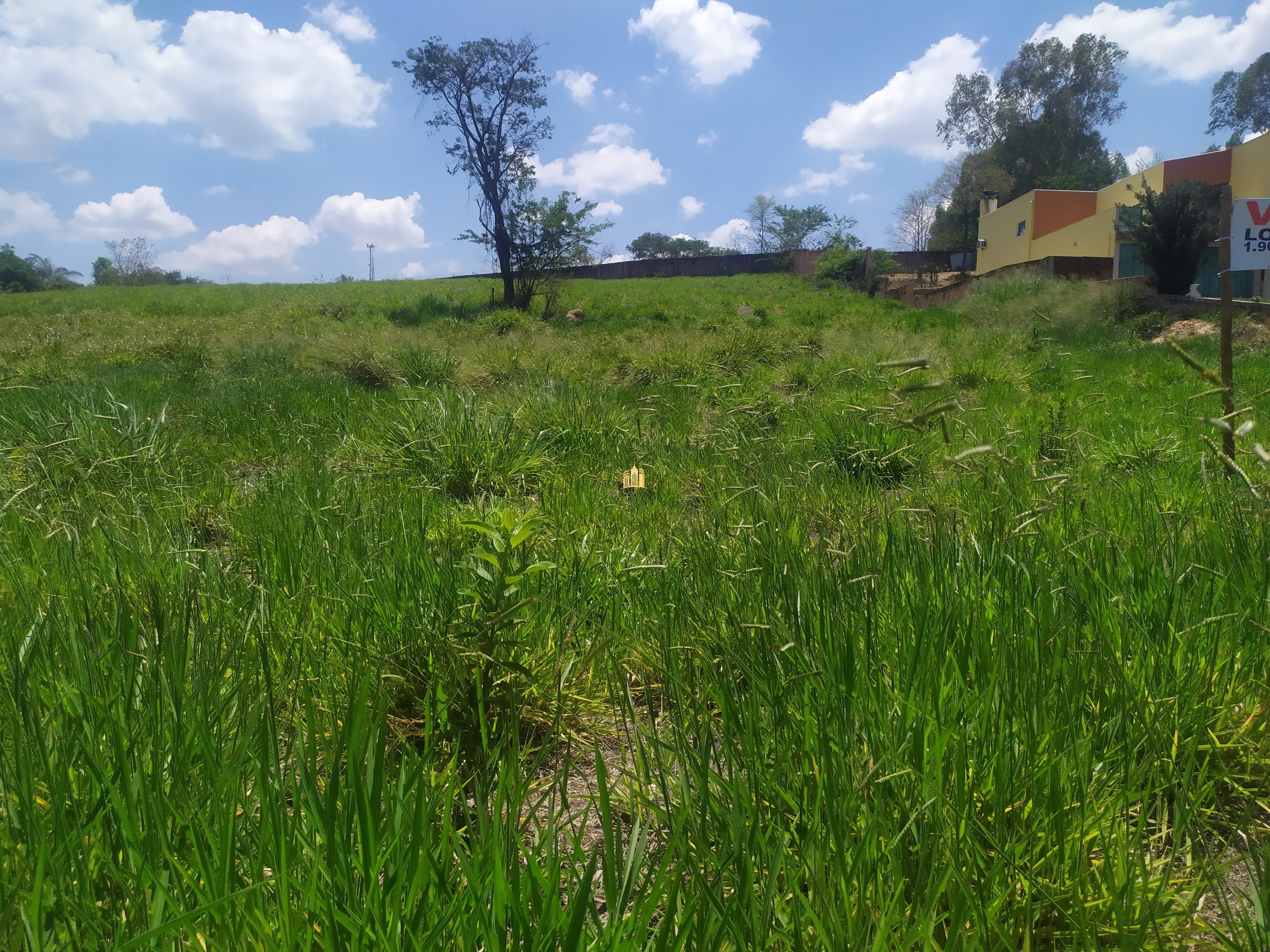 Terreno à venda, 2000m² - Foto 9