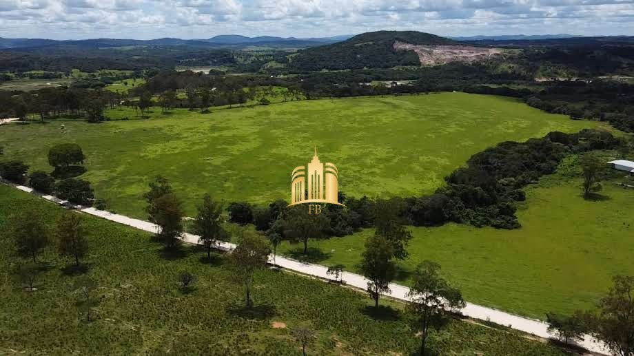 Fazenda à venda com 9 quartos, 690000m² - Foto 31