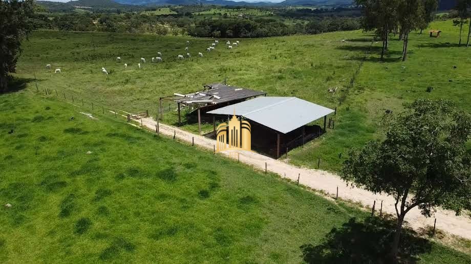 Fazenda à venda com 9 quartos, 690000m² - Foto 50