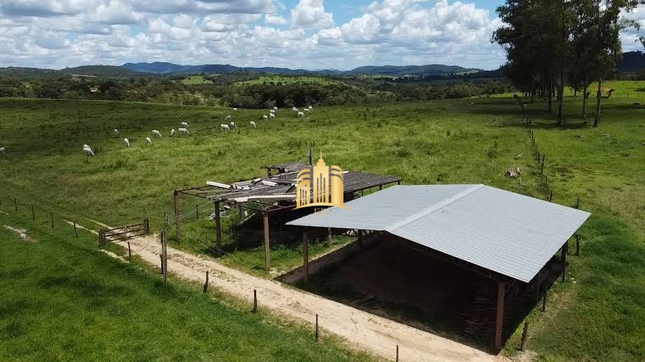 Fazenda à venda com 9 quartos, 690000m² - Foto 51