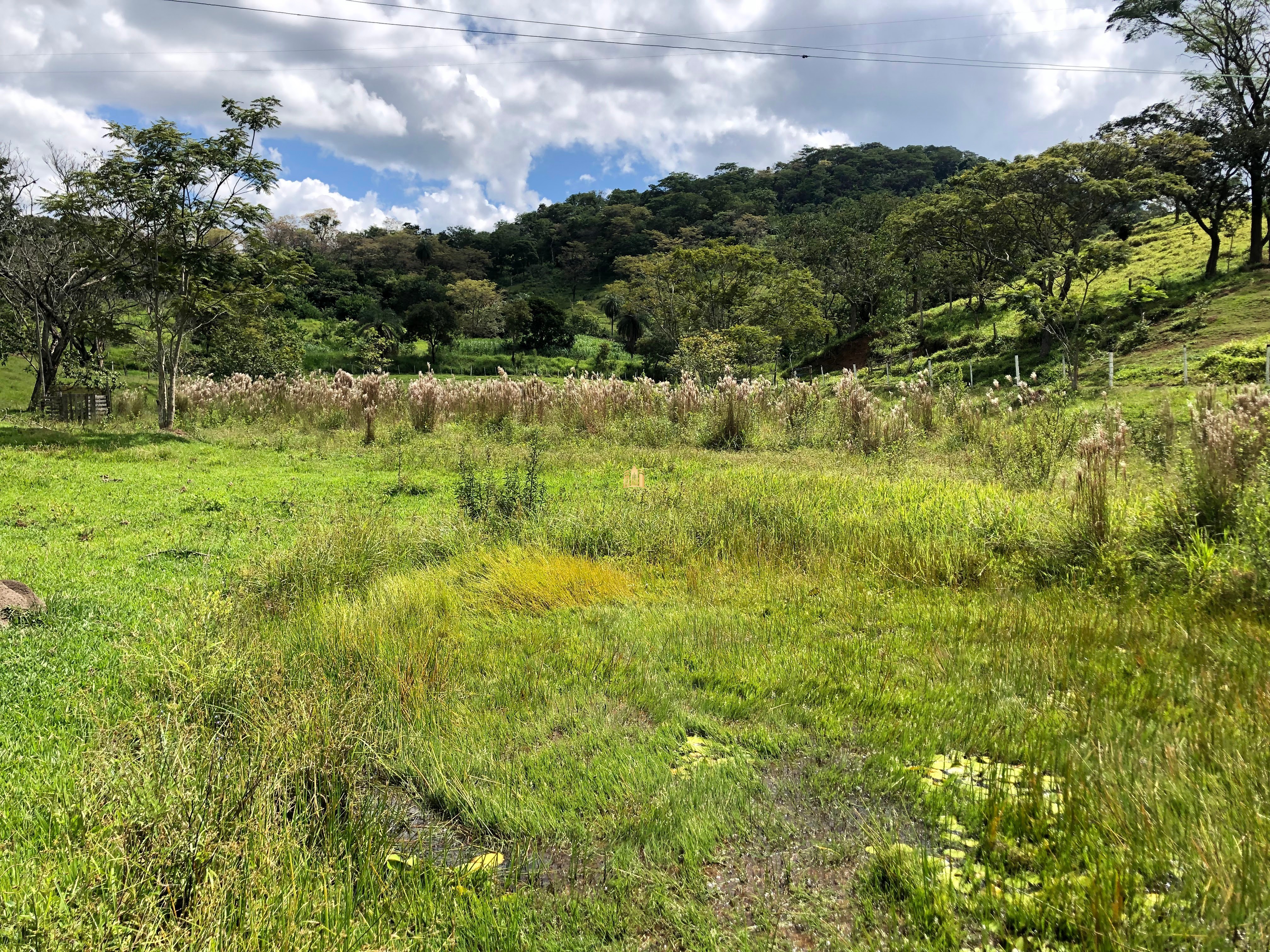 Loteamento e Condomínio à venda com 12 quartos, 47000m² - Foto 3