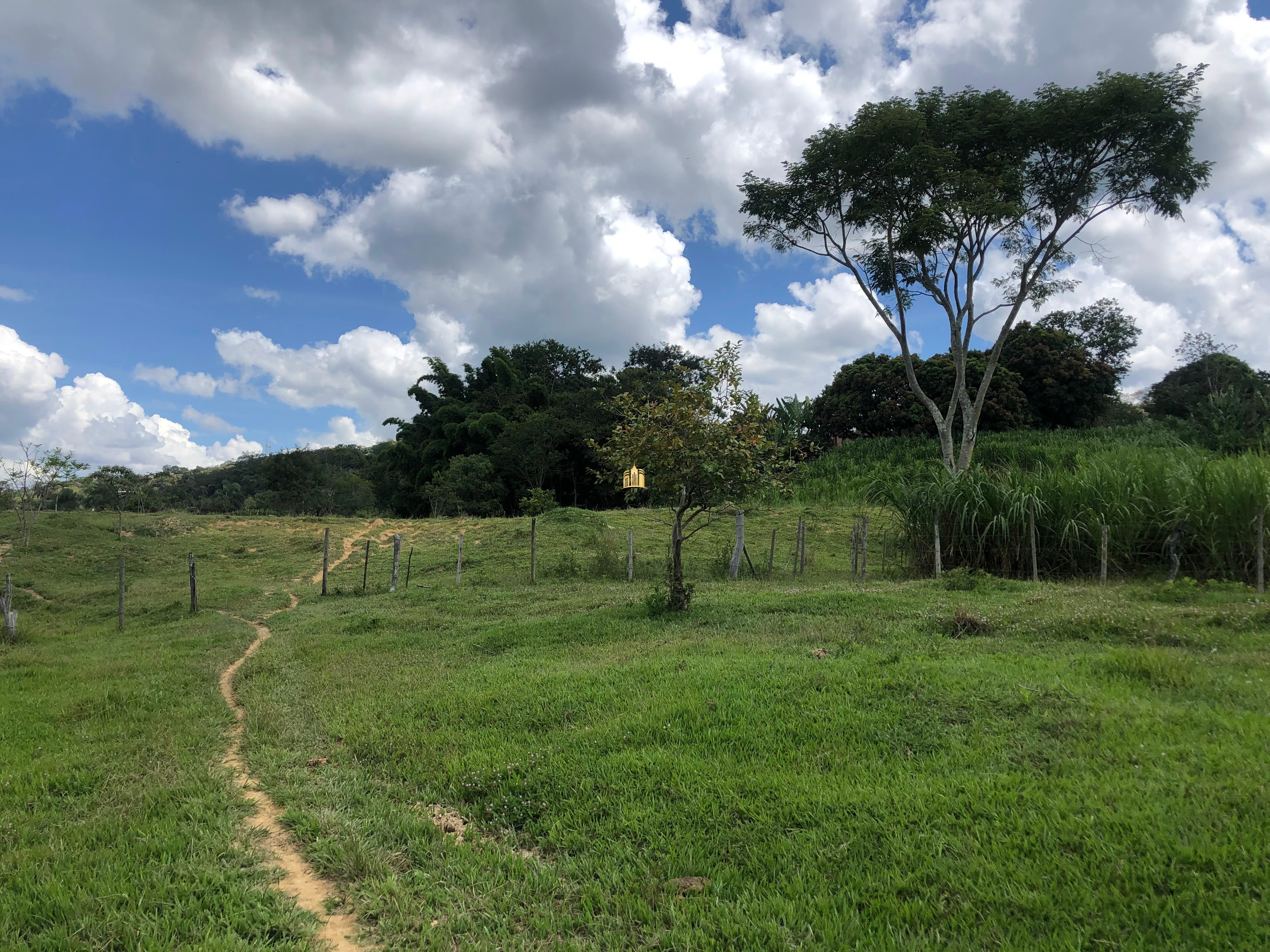 Loteamento e Condomínio à venda com 12 quartos, 47000m² - Foto 44