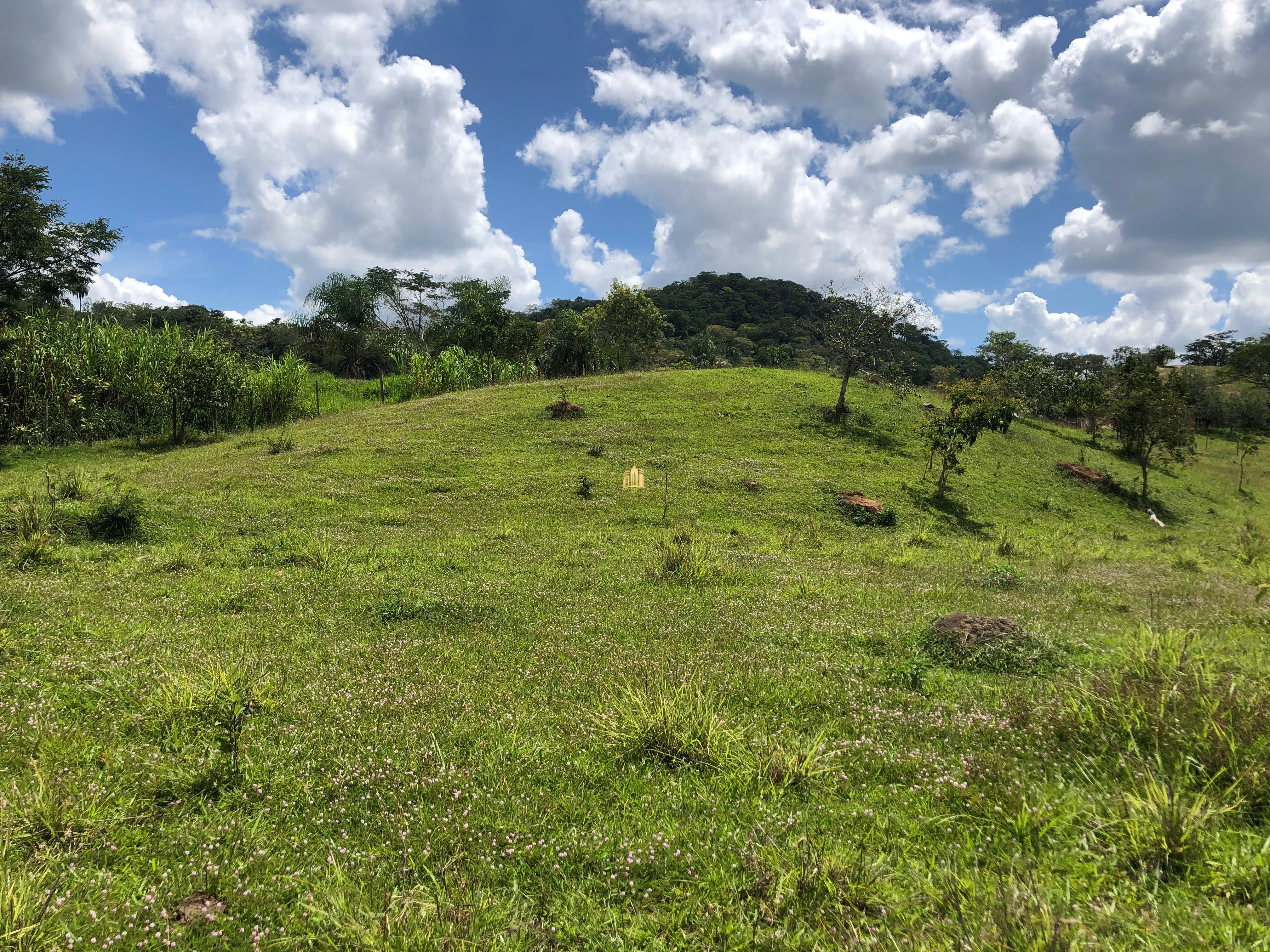 Loteamento e Condomínio à venda com 12 quartos, 47000m² - Foto 74