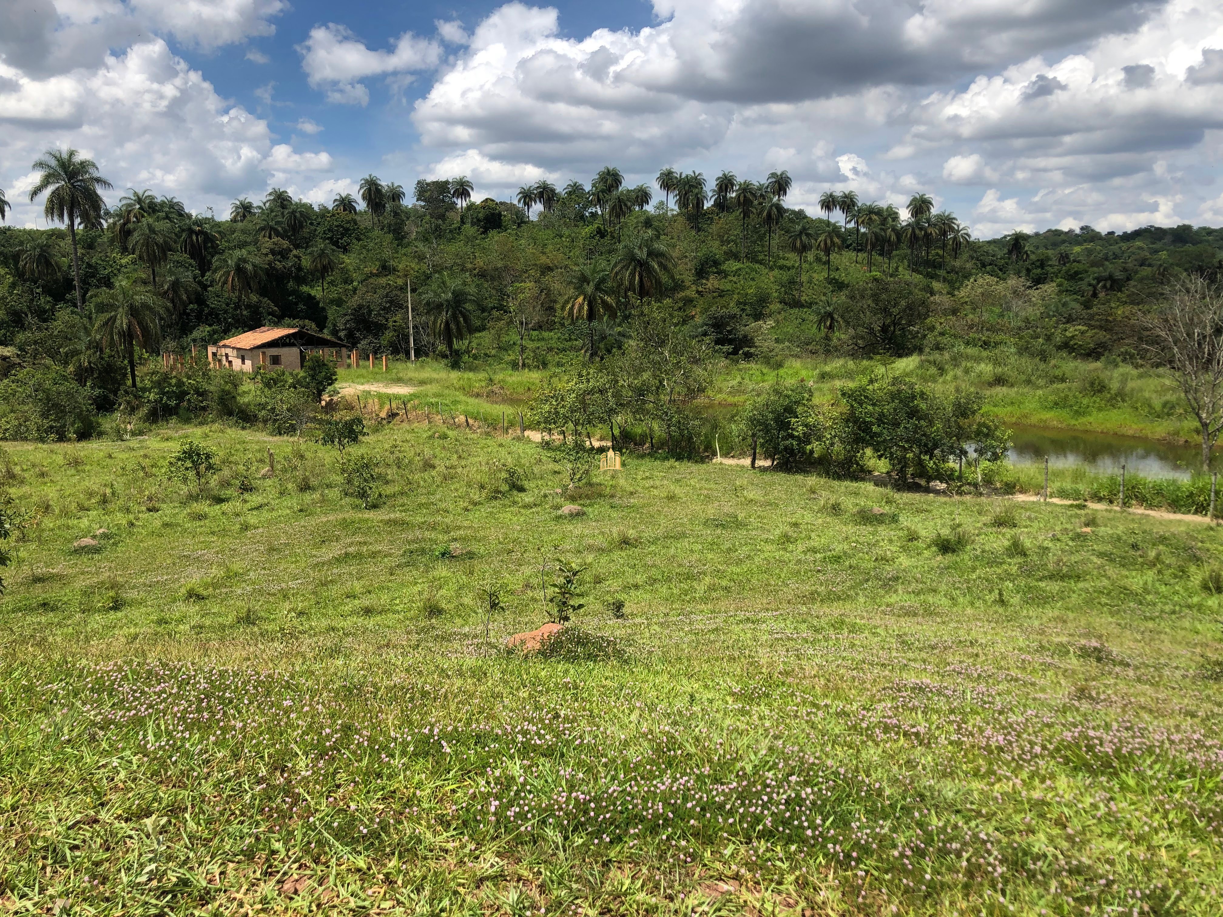 Loteamento e Condomínio à venda com 12 quartos, 47000m² - Foto 81