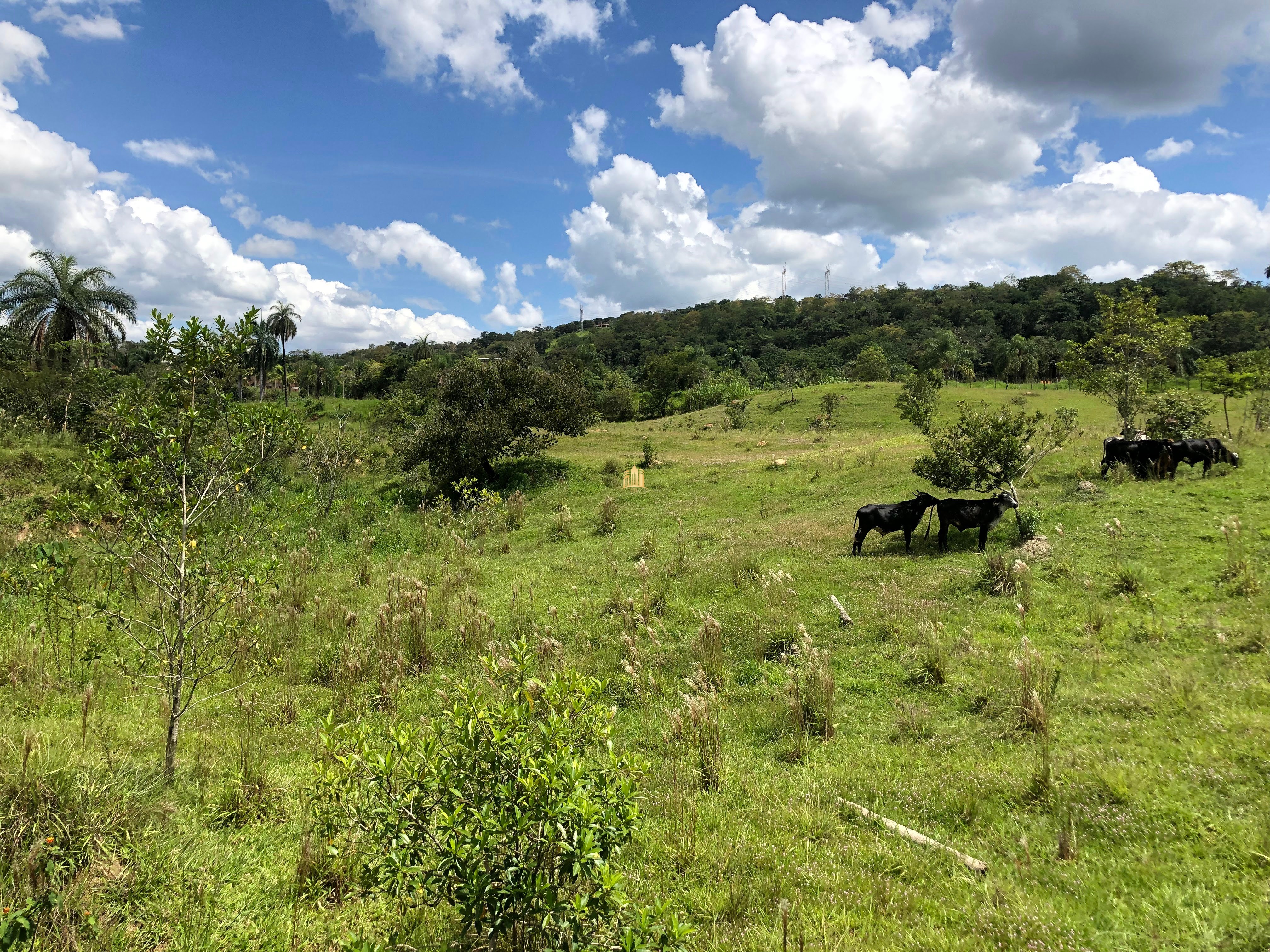 Loteamento e Condomínio à venda com 12 quartos, 47000m² - Foto 56