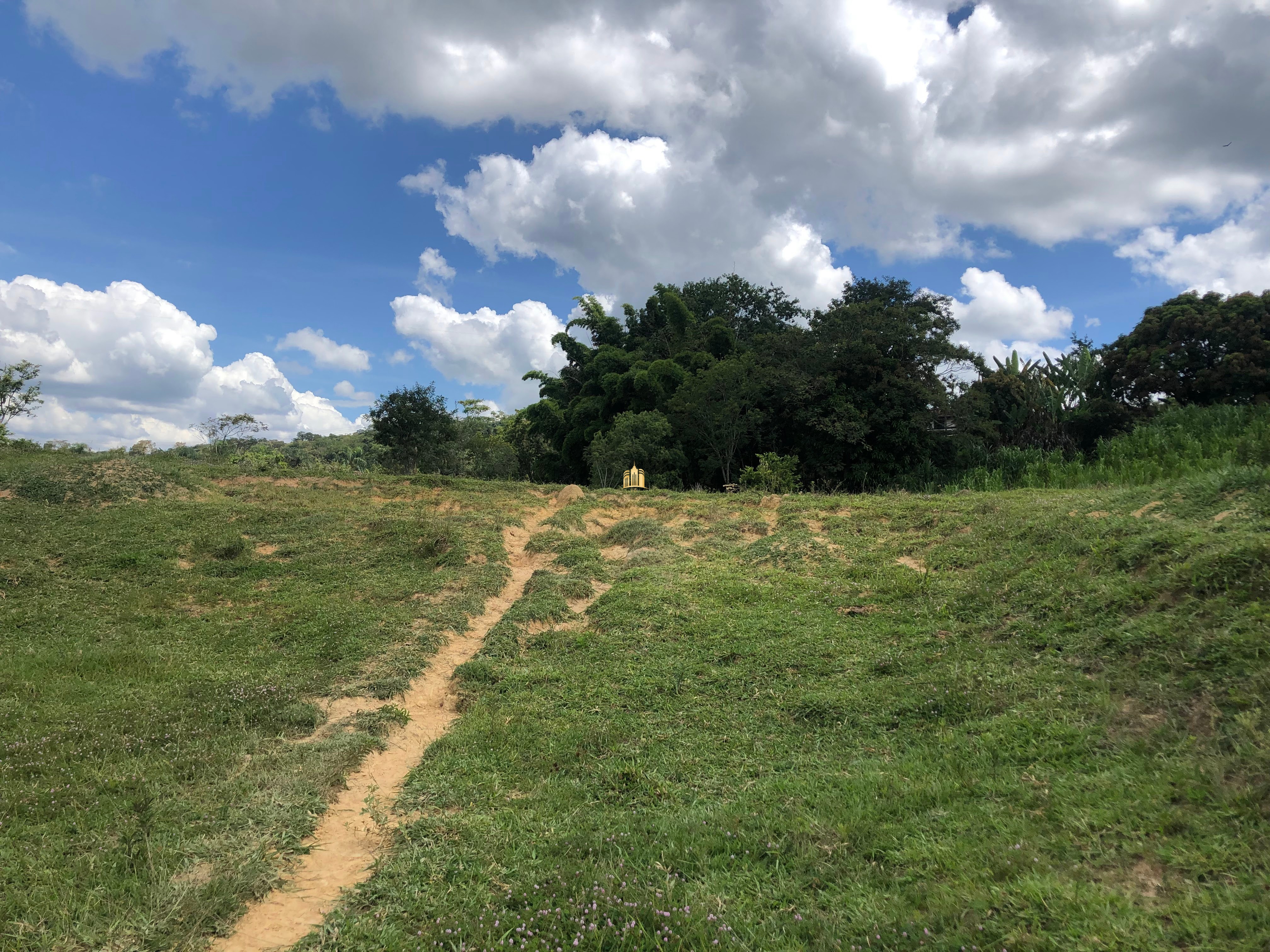 Loteamento e Condomínio à venda com 12 quartos, 47000m² - Foto 48