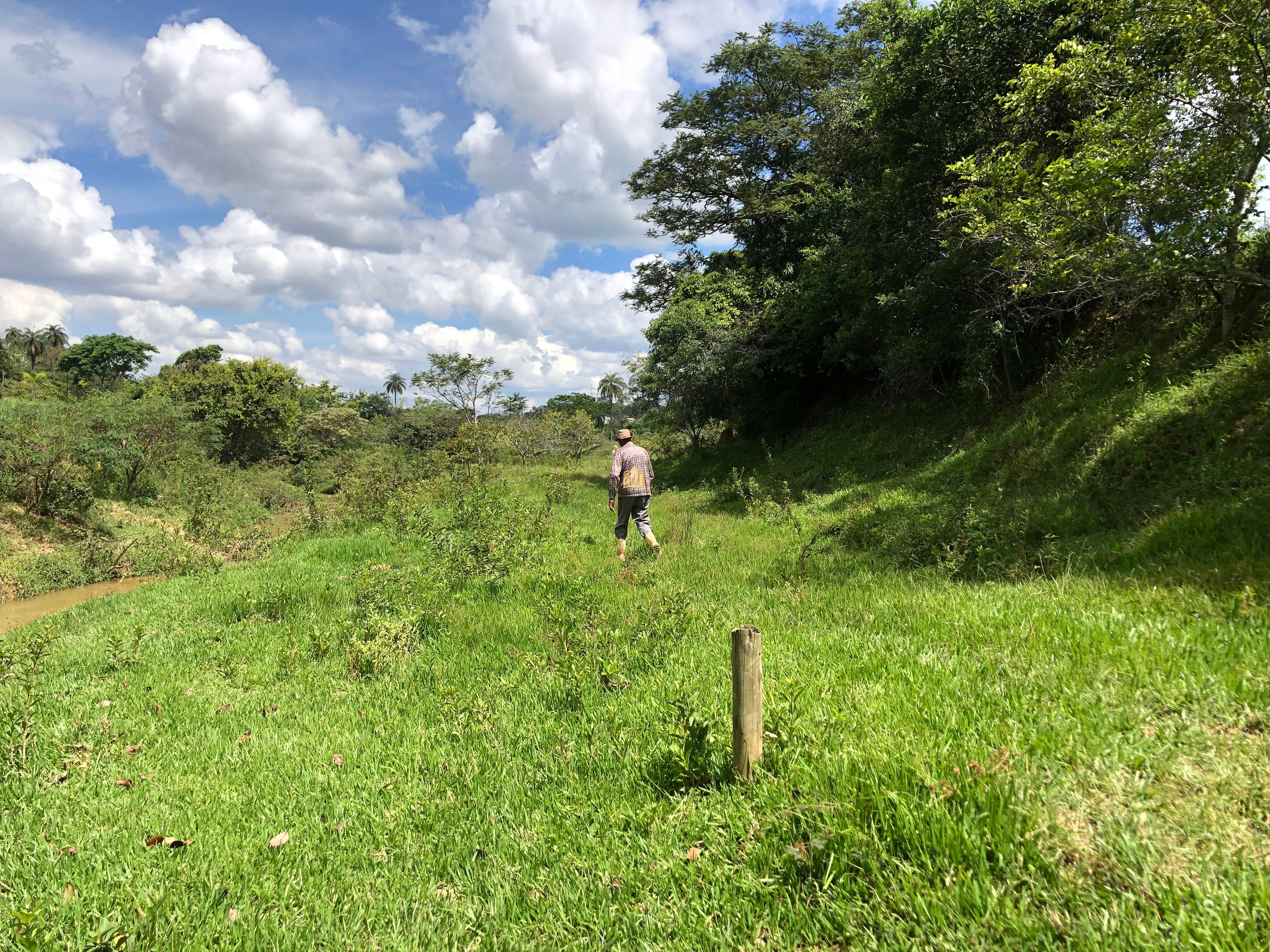 Loteamento e Condomínio à venda com 12 quartos, 47000m² - Foto 38