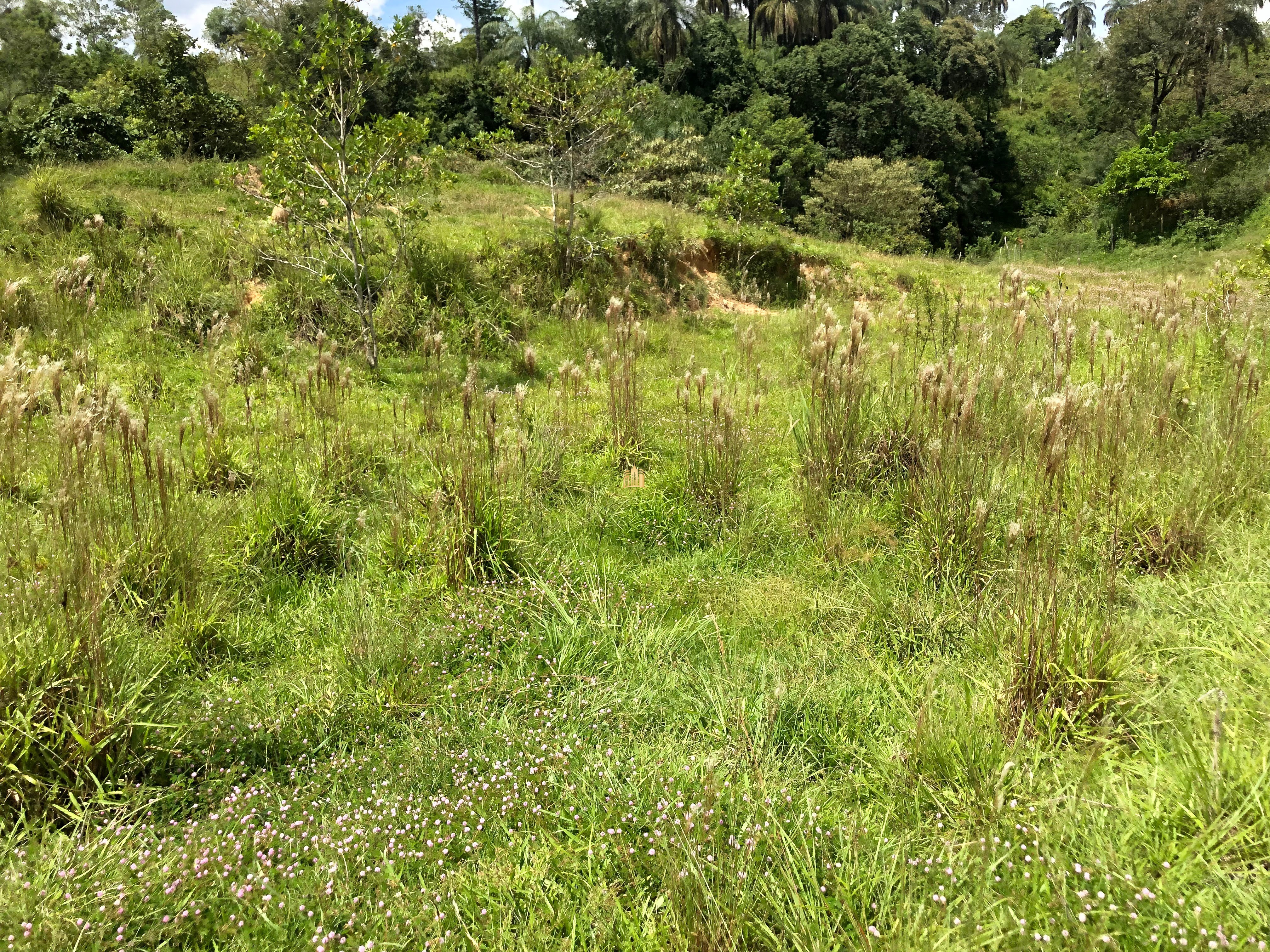 Loteamento e Condomínio à venda com 12 quartos, 47000m² - Foto 61