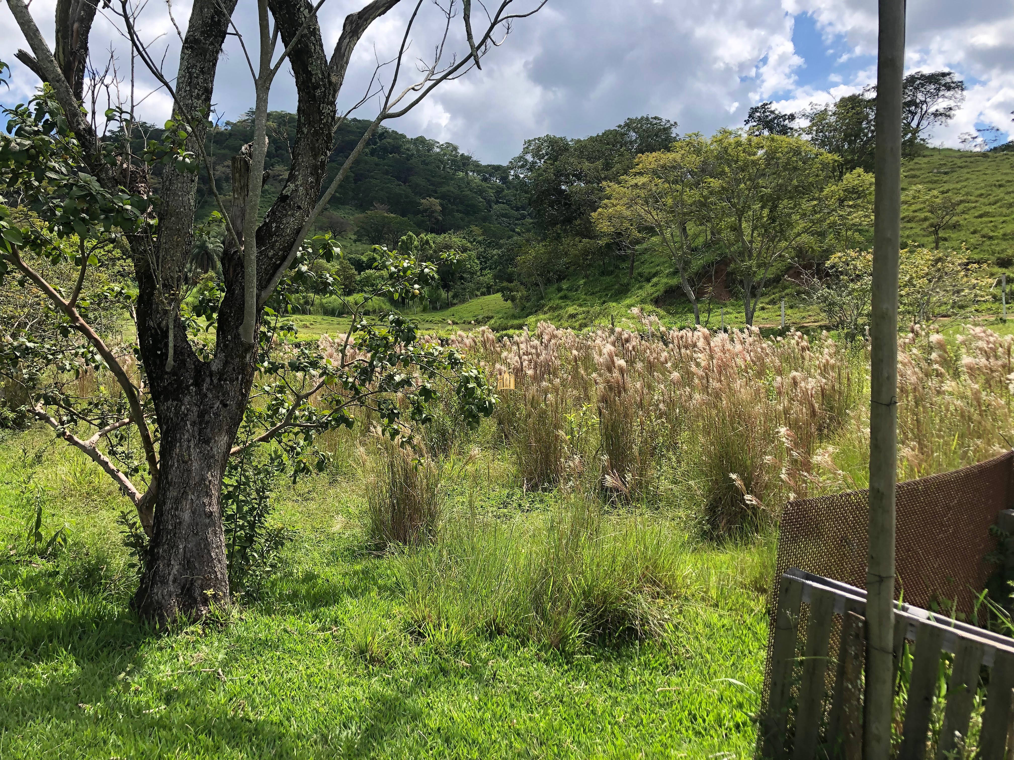 Loteamento e Condomínio à venda com 12 quartos, 47000m² - Foto 14