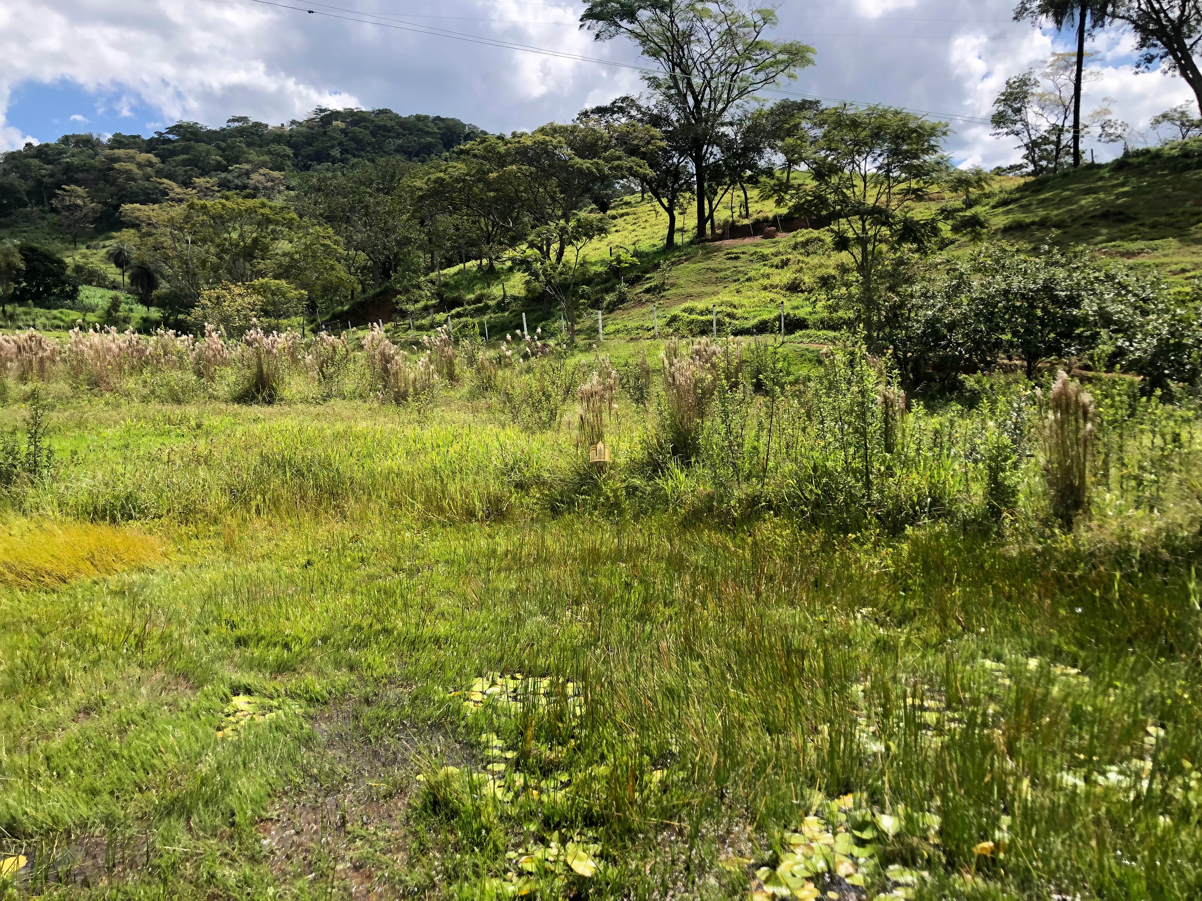 Loteamento e Condomínio à venda com 12 quartos, 47000m² - Foto 22