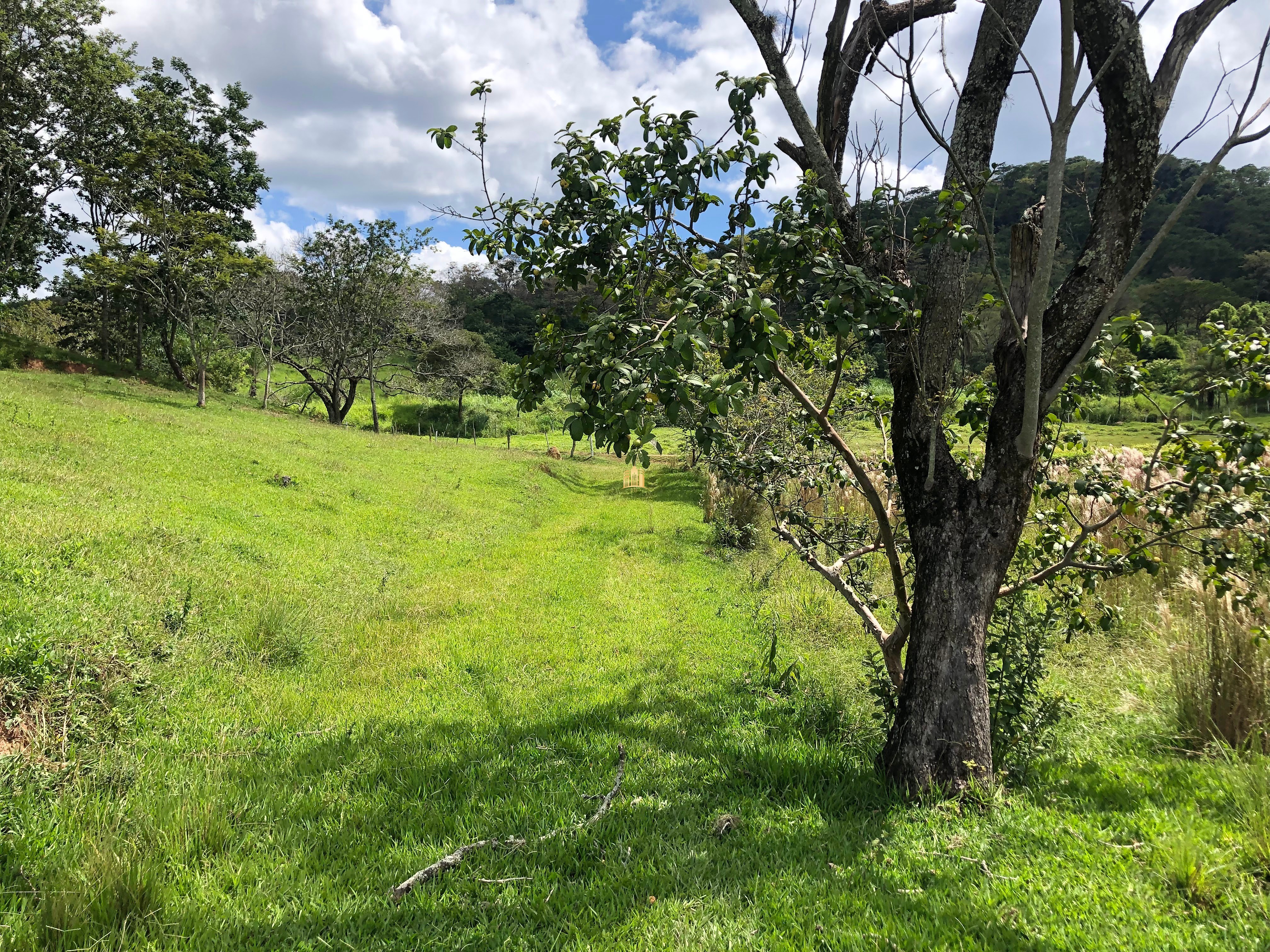 Loteamento e Condomínio à venda com 12 quartos, 47000m² - Foto 15