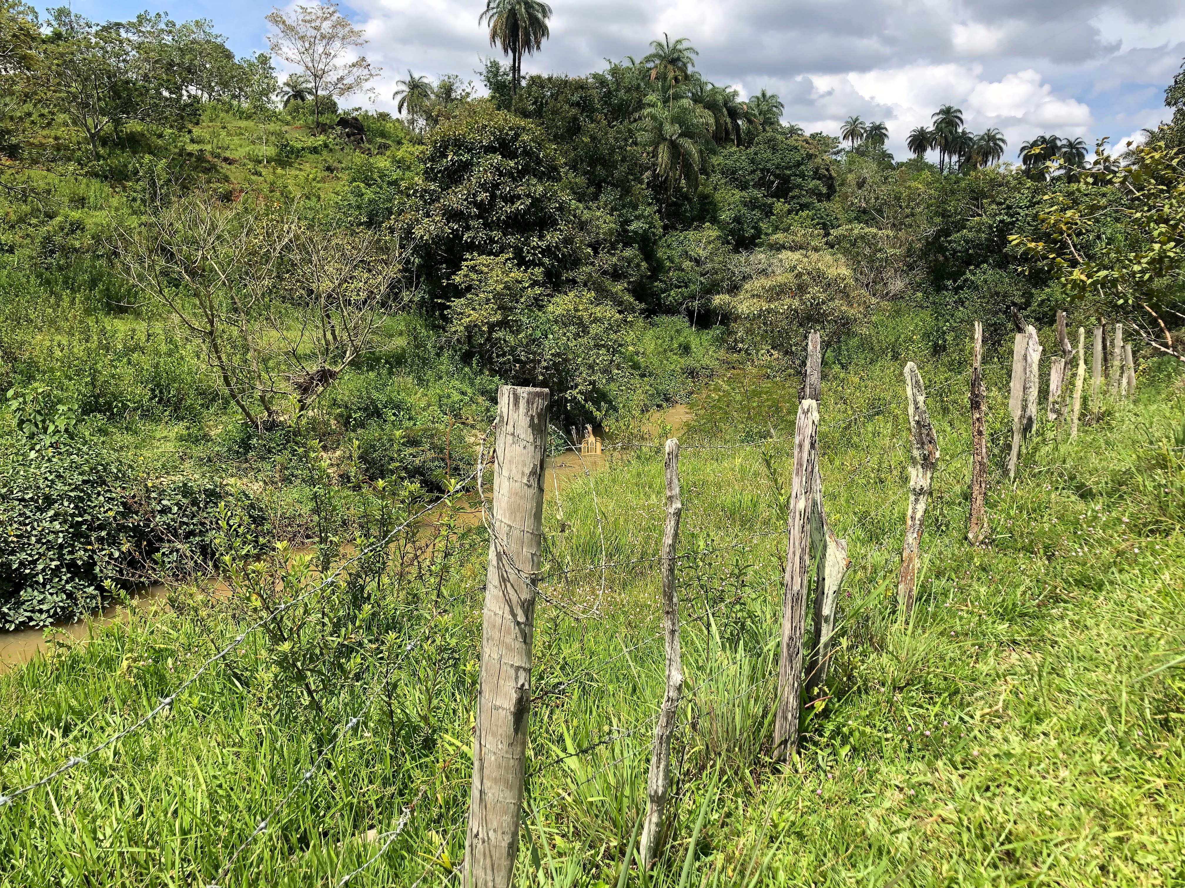 Loteamento e Condomínio à venda com 12 quartos, 47000m² - Foto 53