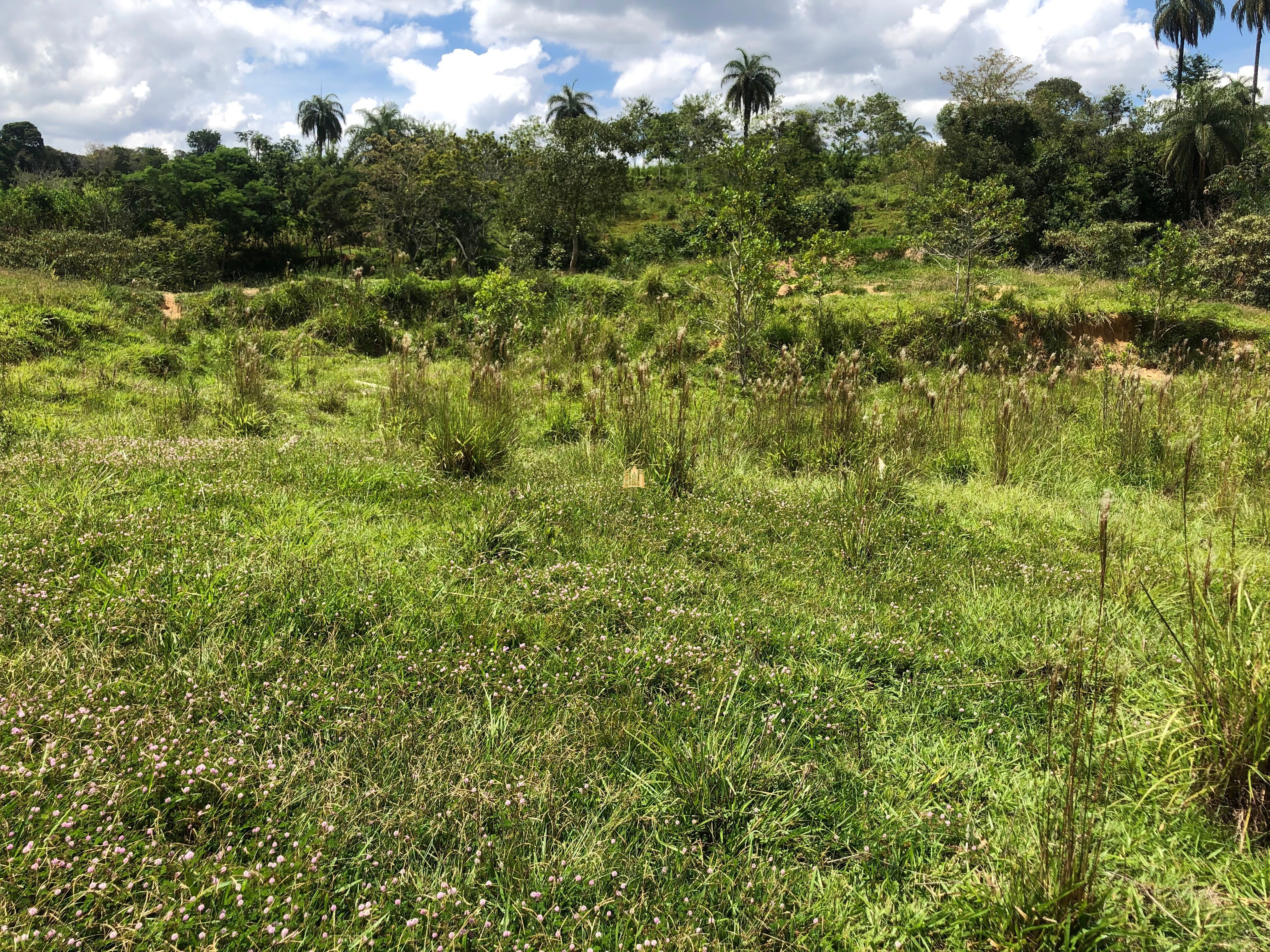 Loteamento e Condomínio à venda com 12 quartos, 47000m² - Foto 63