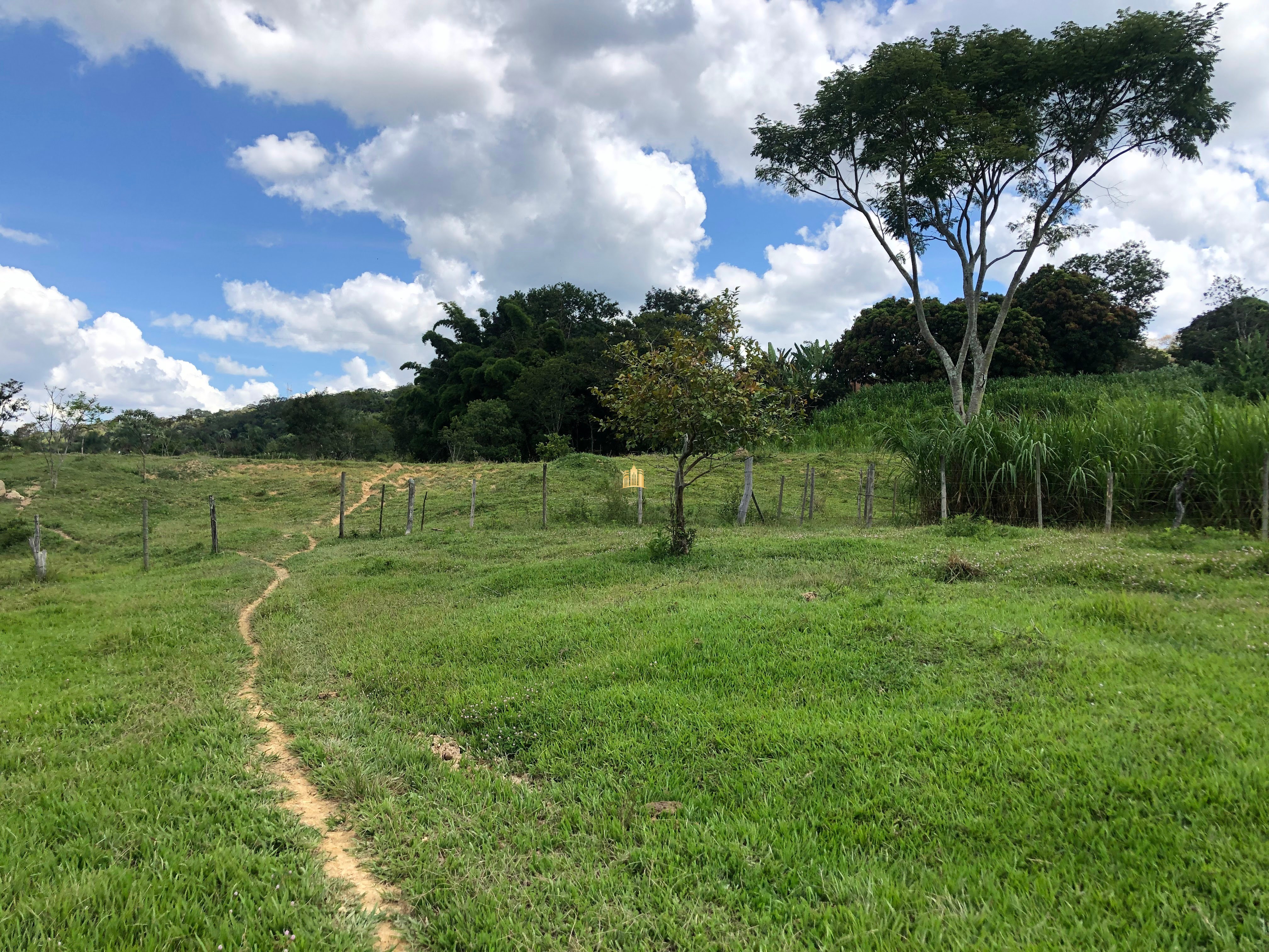 Loteamento e Condomínio à venda com 12 quartos, 47000m² - Foto 42